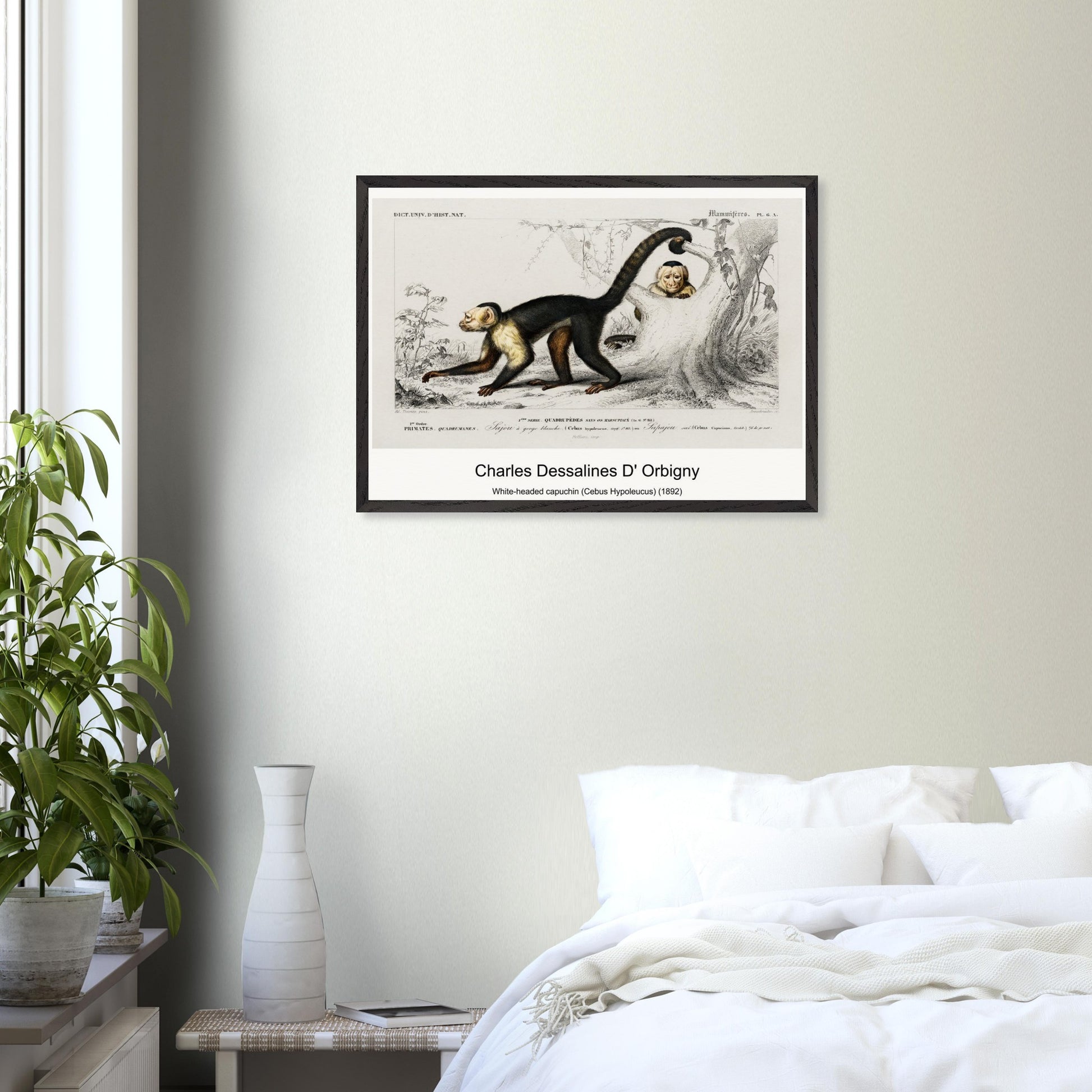 24d5b89a-799b-4947-8ab3-713975ddcc57