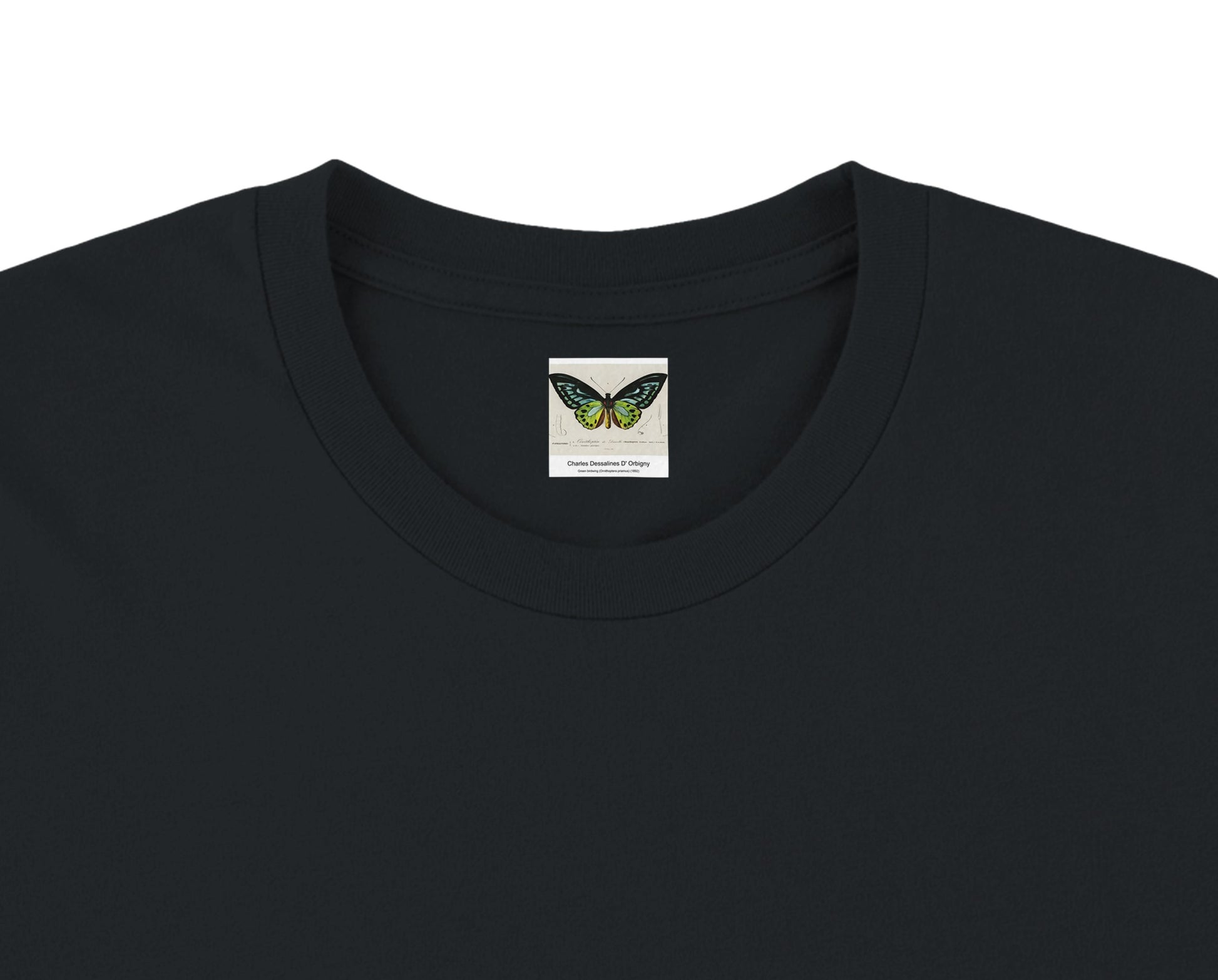 25602410-2f5f-40a2-b6f5-3c221d2b59e4