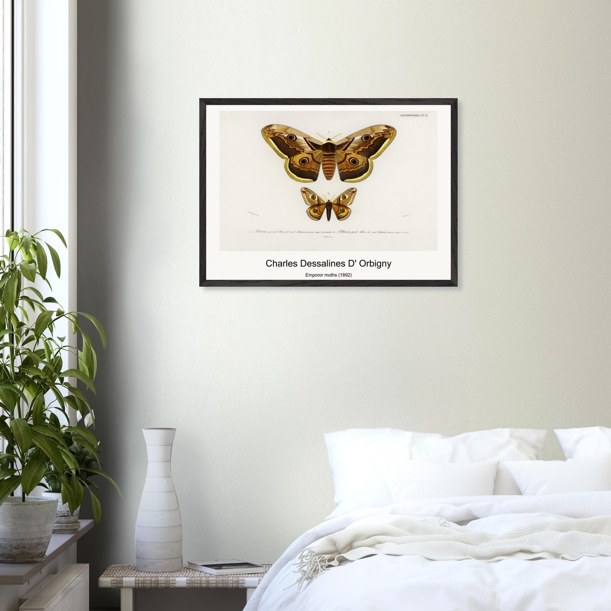 25bb4089-fdf7-49e9-bb2a-47436342e8e9