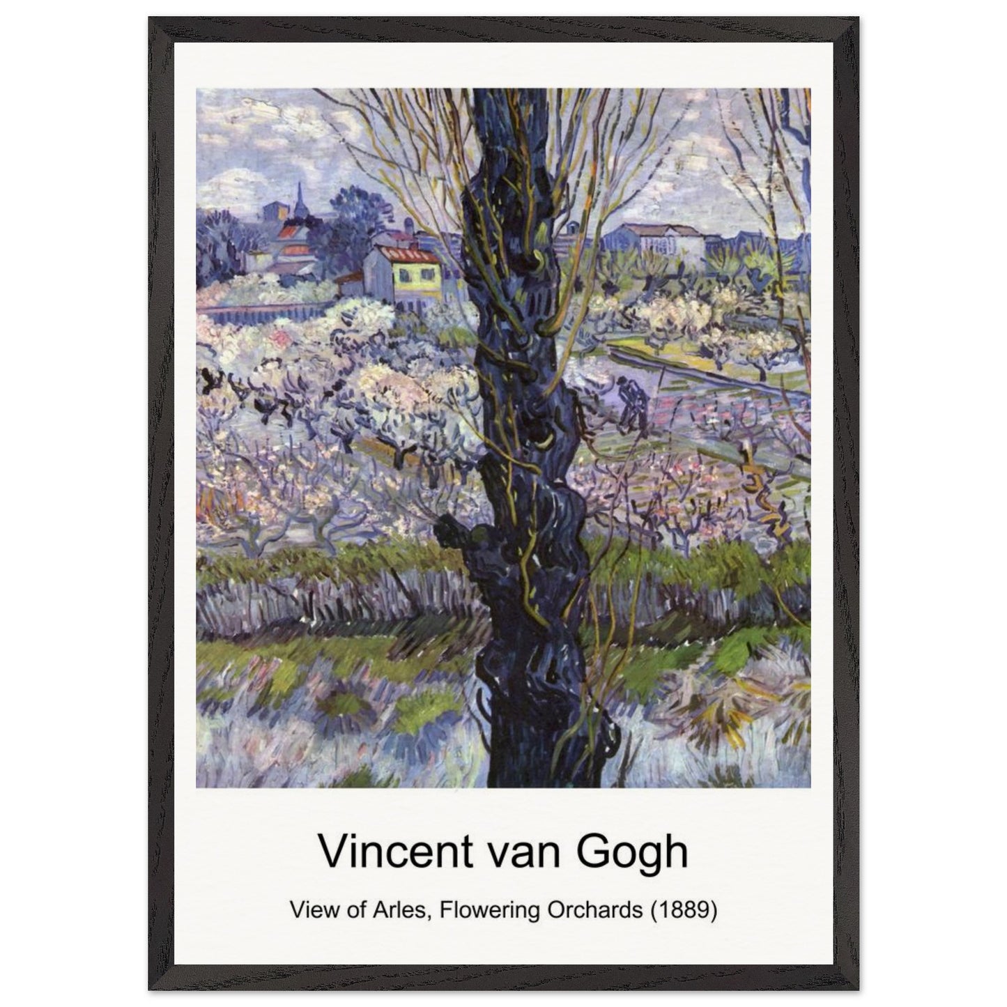 25db8b36-acee-410b-9aed-f3b8d0f0c02b