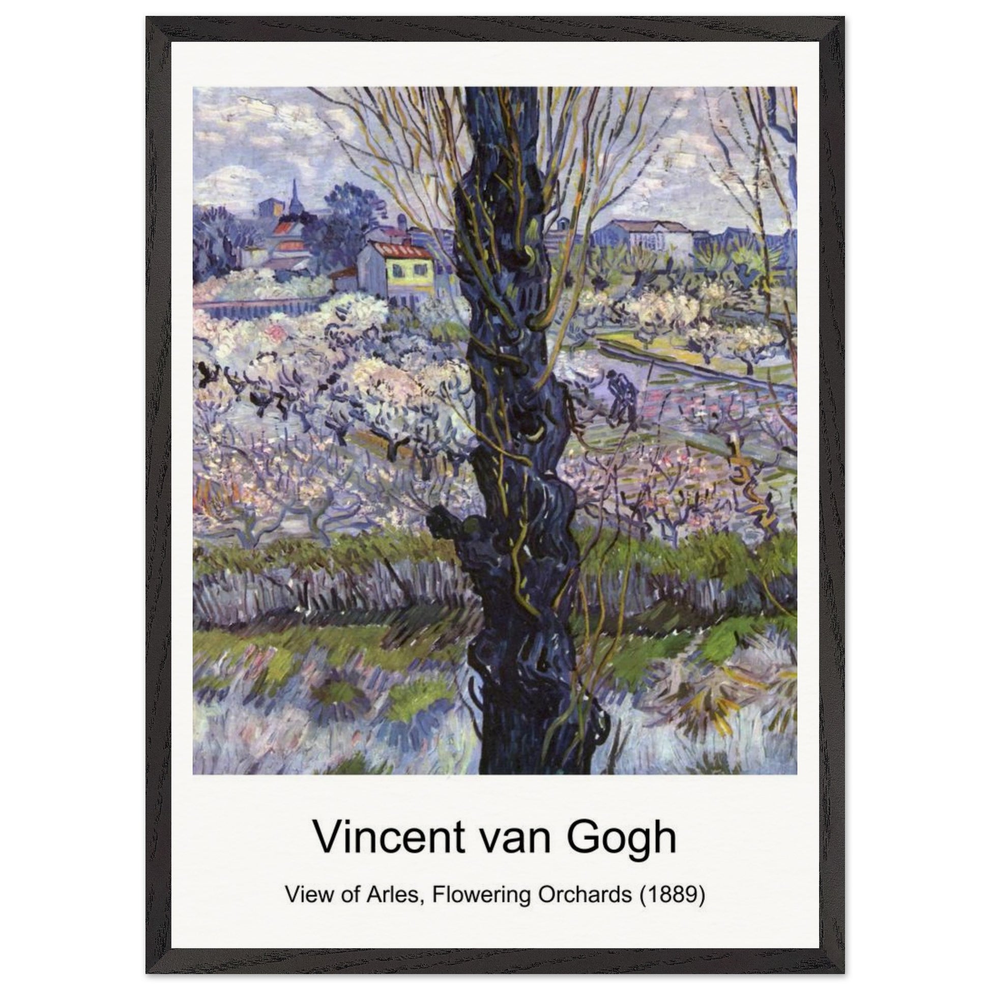 25db8b36-acee-410b-9aed-f3b8d0f0c02b