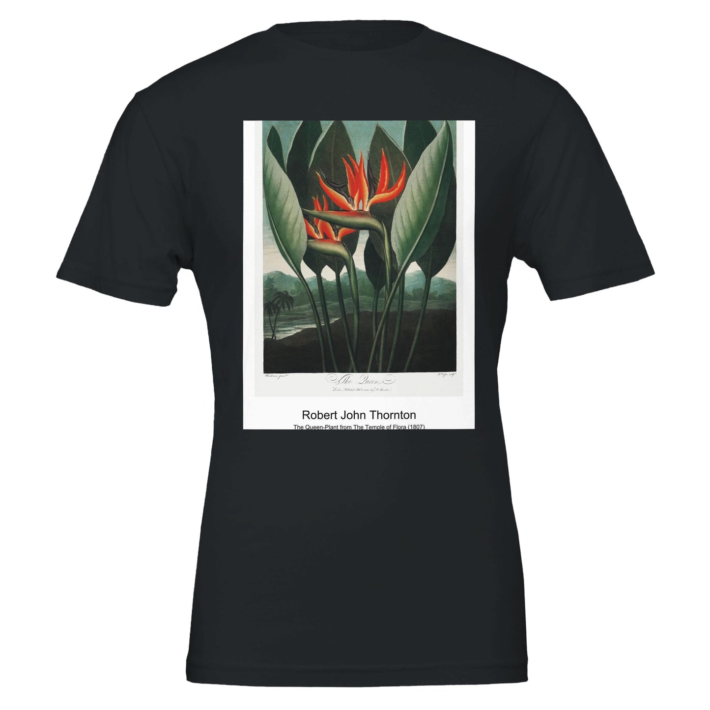 25f8ae35-c6cf-42ea-b8c5-0d22345839a0