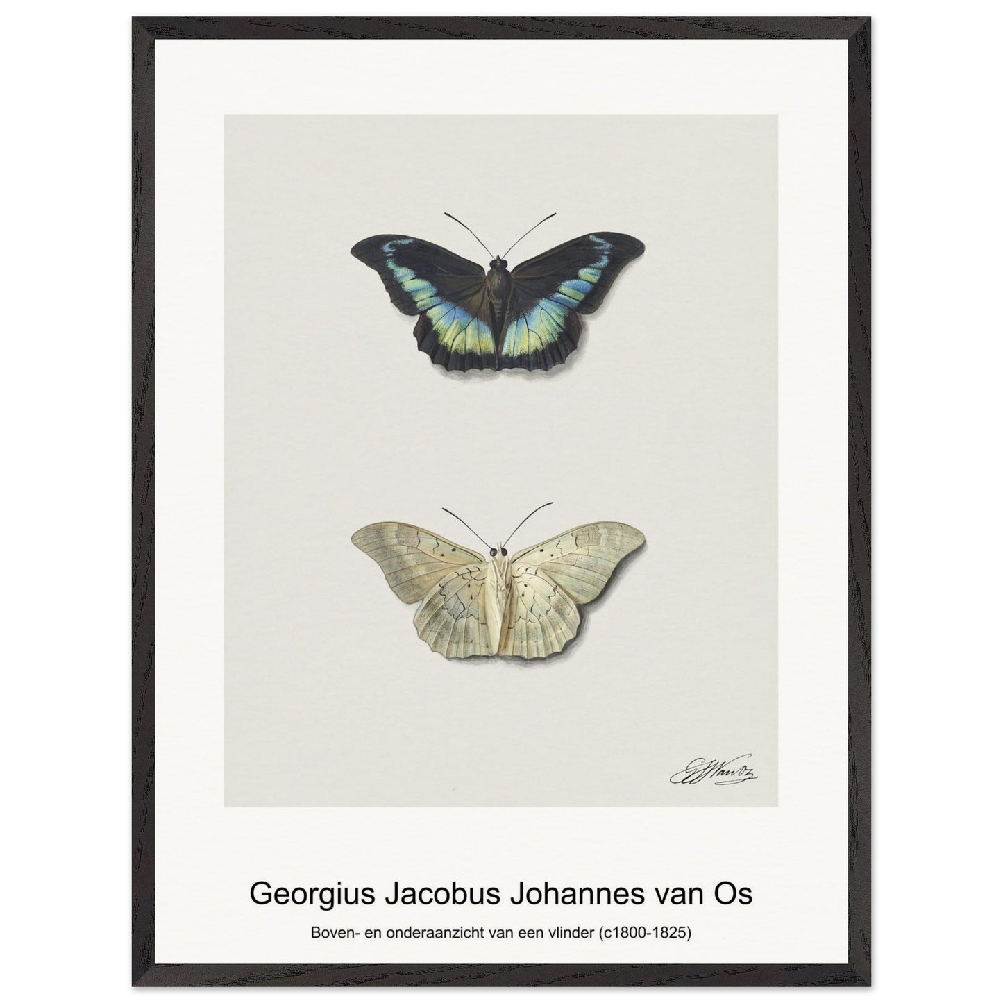 26446644-21b2-4632-b330-57e204d4a365