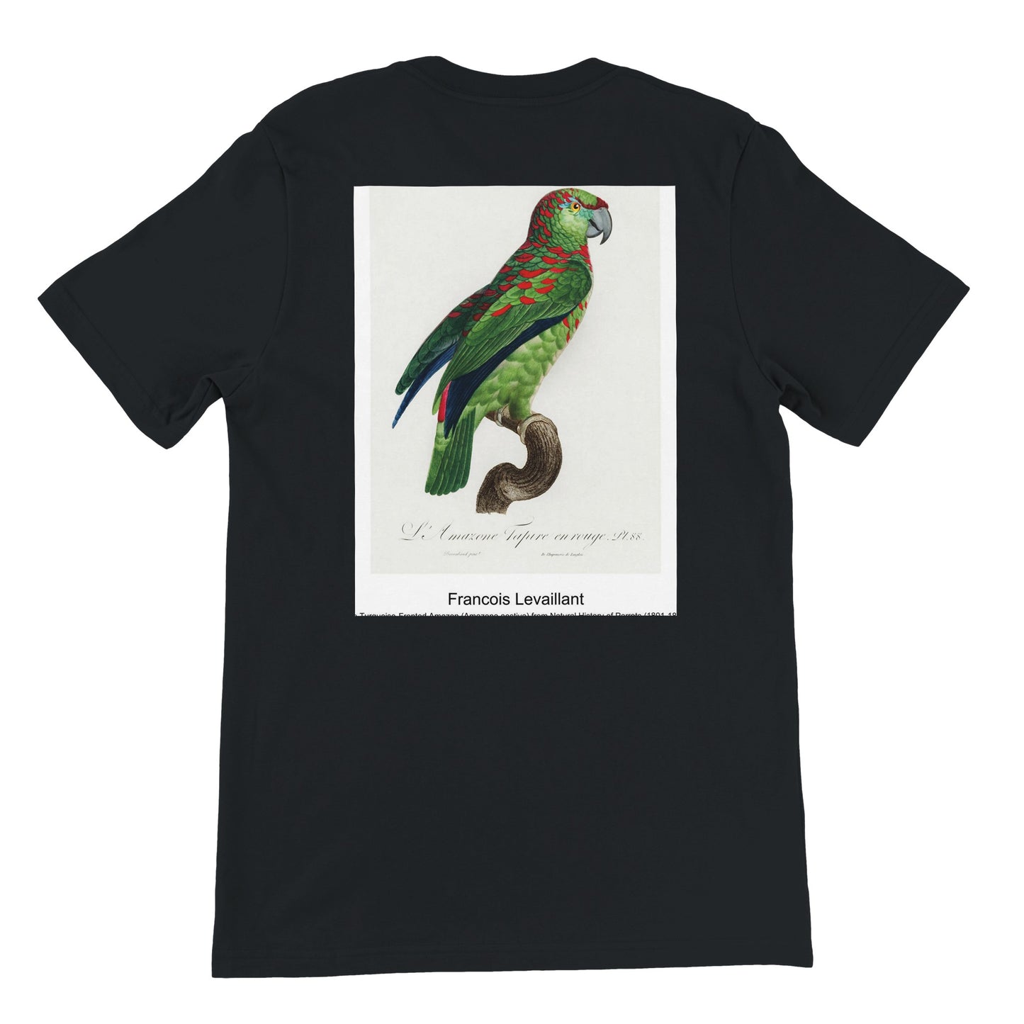 26c5670a-e9fb-4f7f-a758-1c6d7f65a074