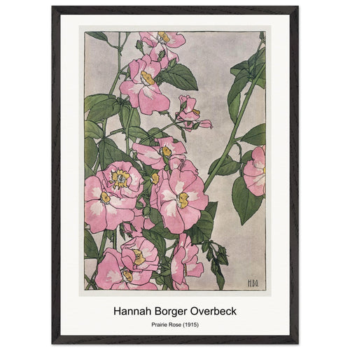 Prairie Rose (1915) by Hannah Borger Overbeck. Archival Print on Museum Quality Matte Paper. Premium Wood Framed Wall Art. Optimised Aspect Ratio.