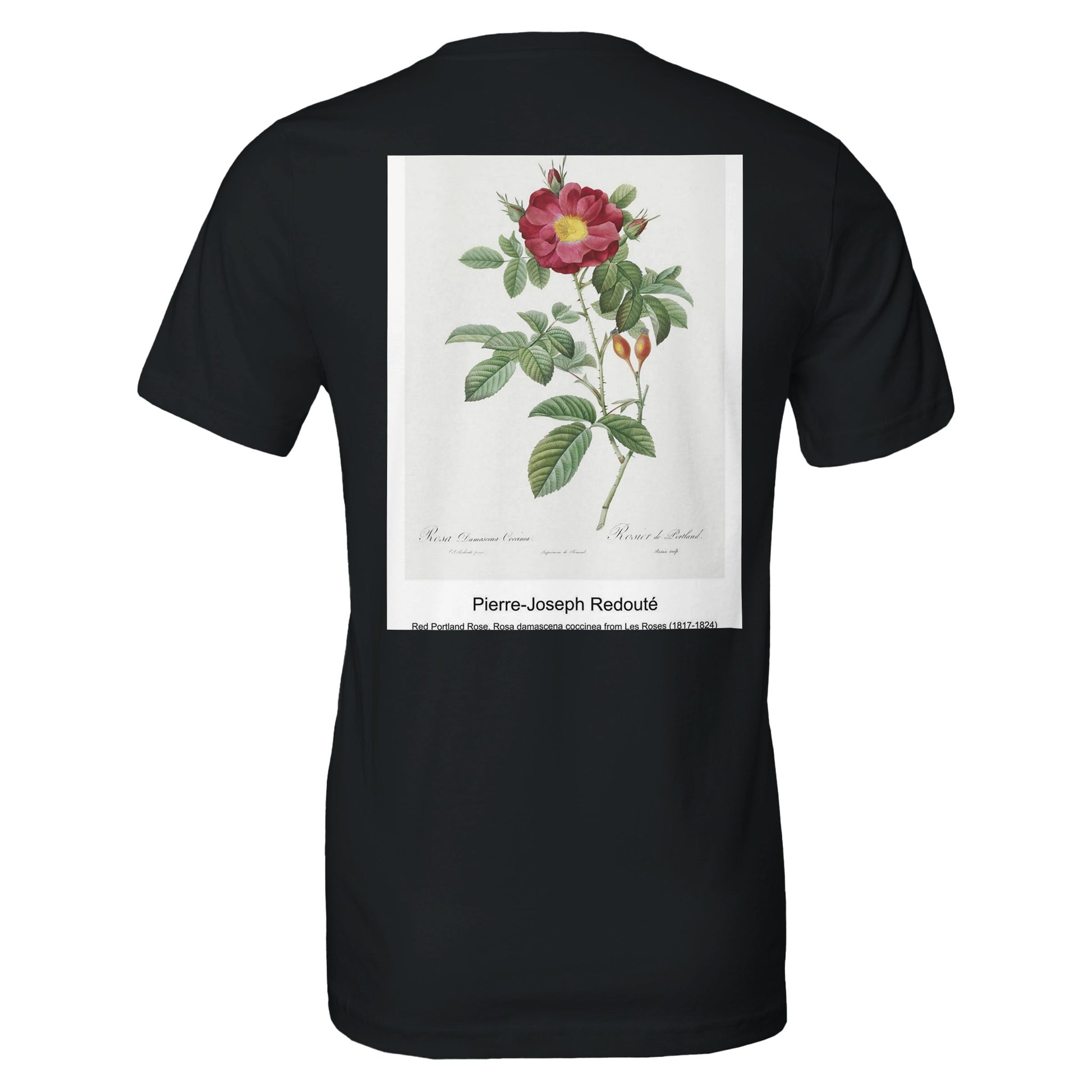 285f8f74-cb42-4b2a-87c1-10f4cc179875