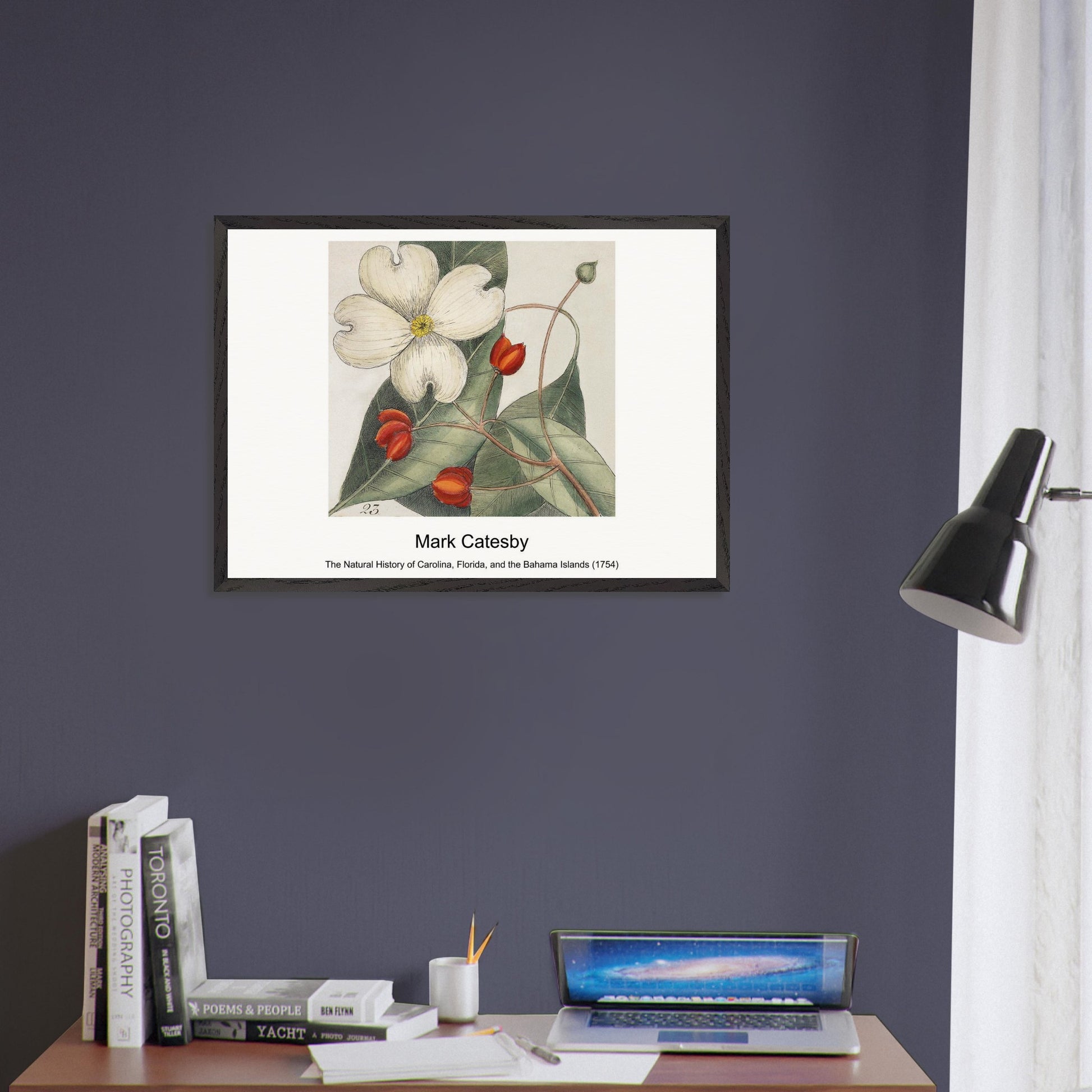 289c18f5-8c83-45fc-a0eb-b2fcf78514b6