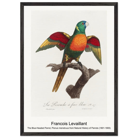 28b902bd-f4d9-4789-8a17-42673fafc282