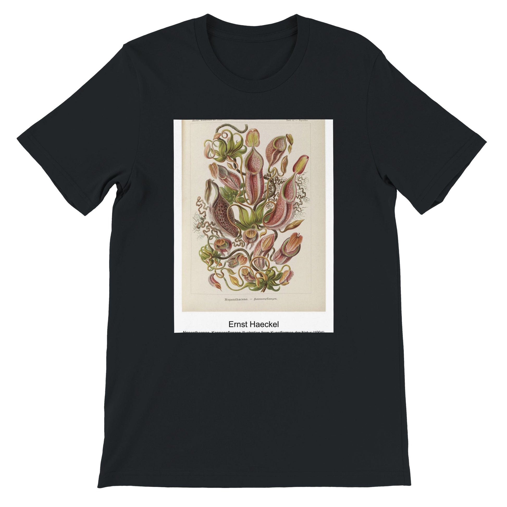 2990ca56-0b0b-498a-bfe8-0c68da1d37c9