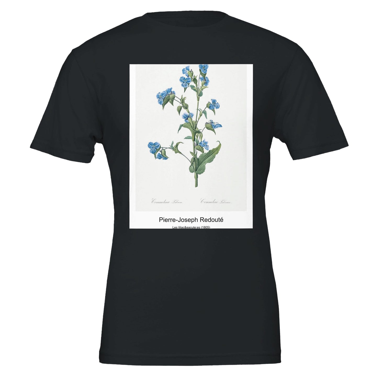 2af22ebe-88d8-436a-8439-8b4c81aa2c26