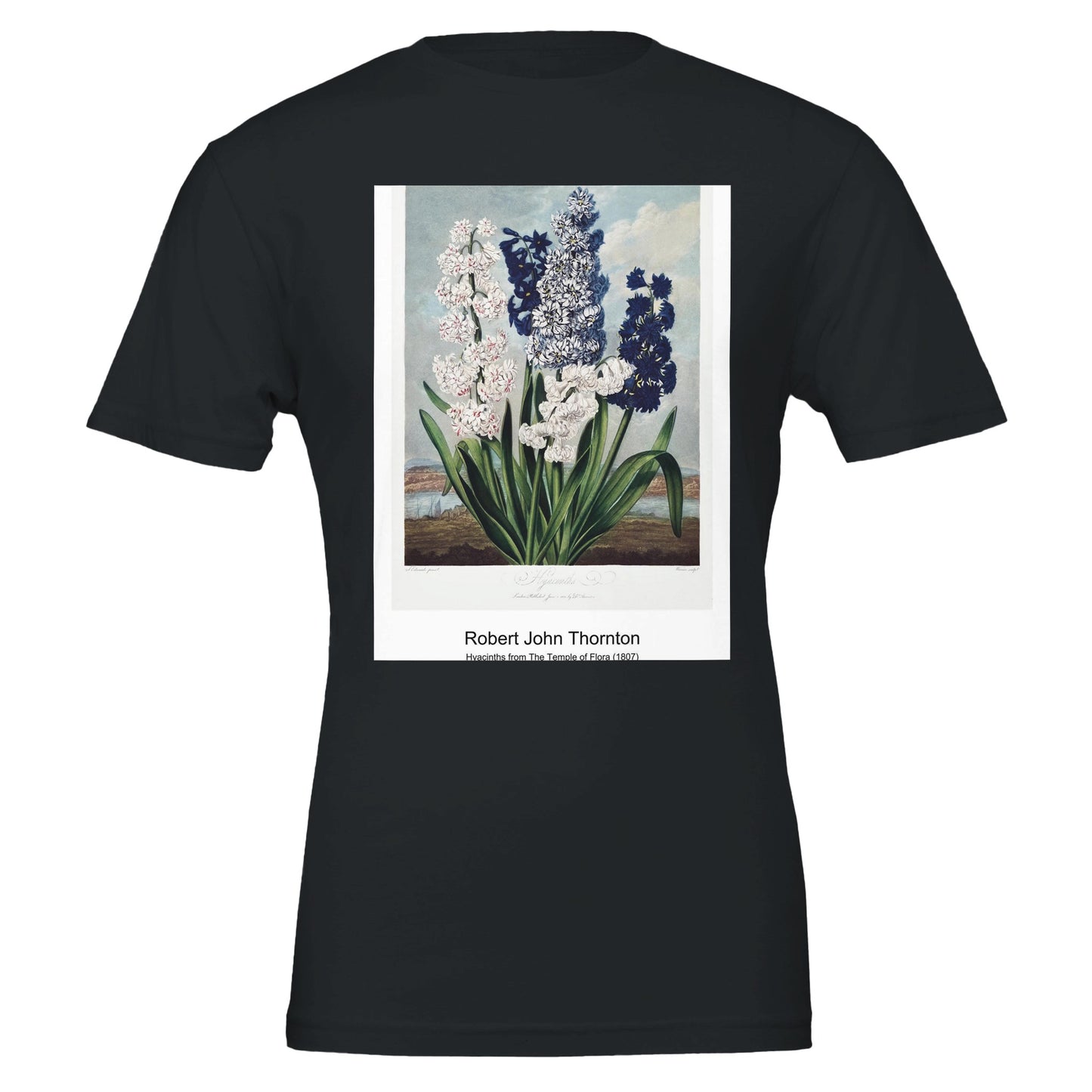 2b056042-3bf3-4944-99a7-7df2d8b2ae61