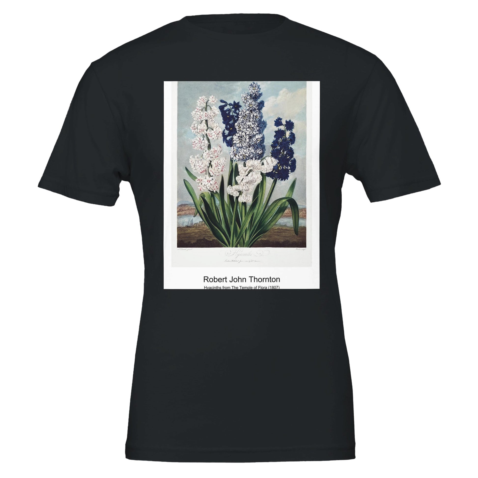 2b056042-3bf3-4944-99a7-7df2d8b2ae61