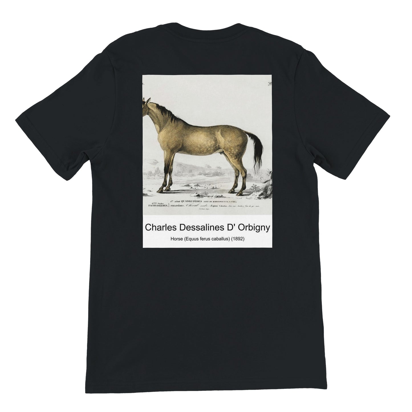 2b8b46f6-1420-40df-ab36-38db0abd7ae6