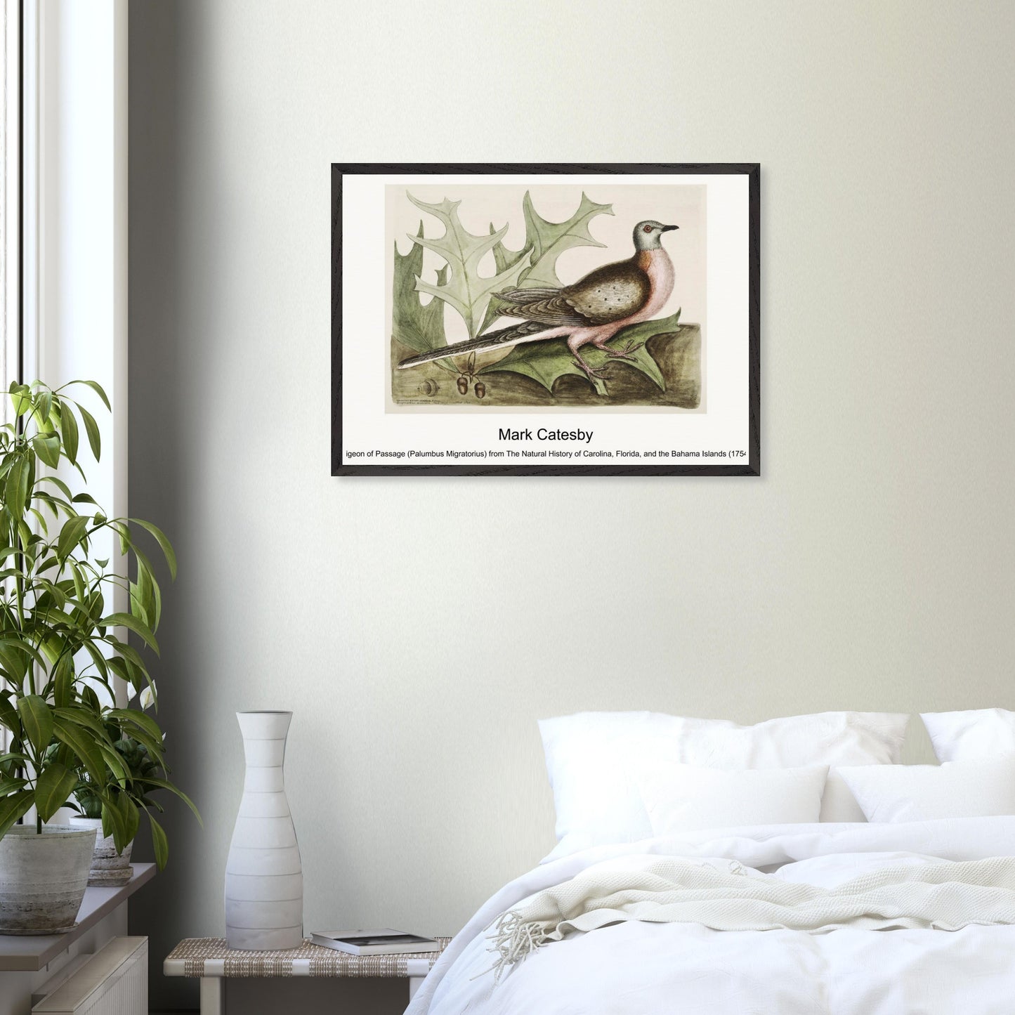 2ba51068-e7cc-4560-a135-2e661ce938fc