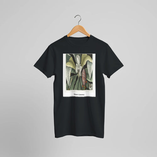 Umbrella Tree (Magnolia) from The natural history of Carolina, Florida, and the Bahama Islands (1754) by Mark Catesby. Custom Print on a 100% Airlume Combed and Ring-Spun Cotton Unisex Crewneck T-shirt Optimised Aspect Ratio.
