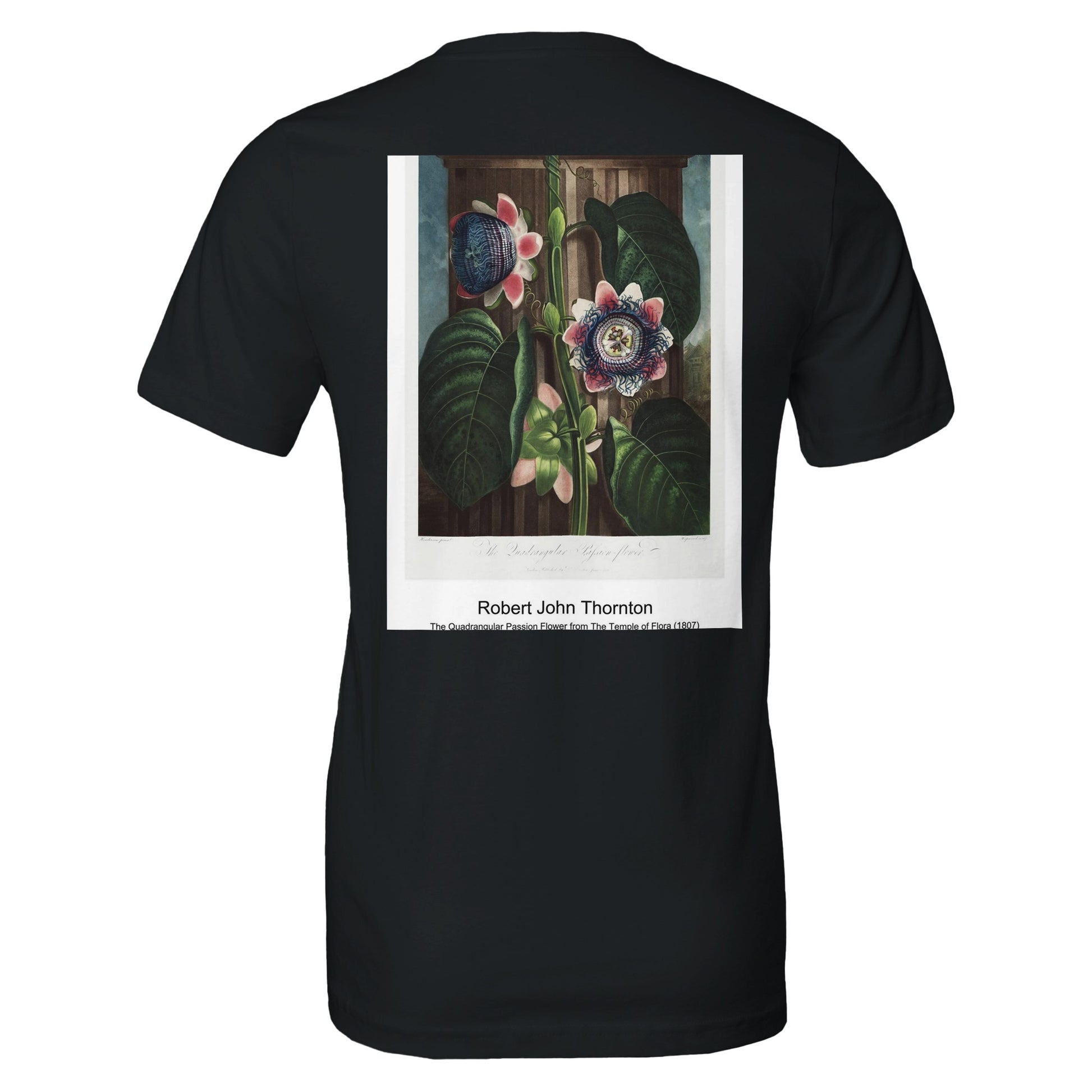 2bfe0578-57b3-41b5-8ae6-db313a67ce4f