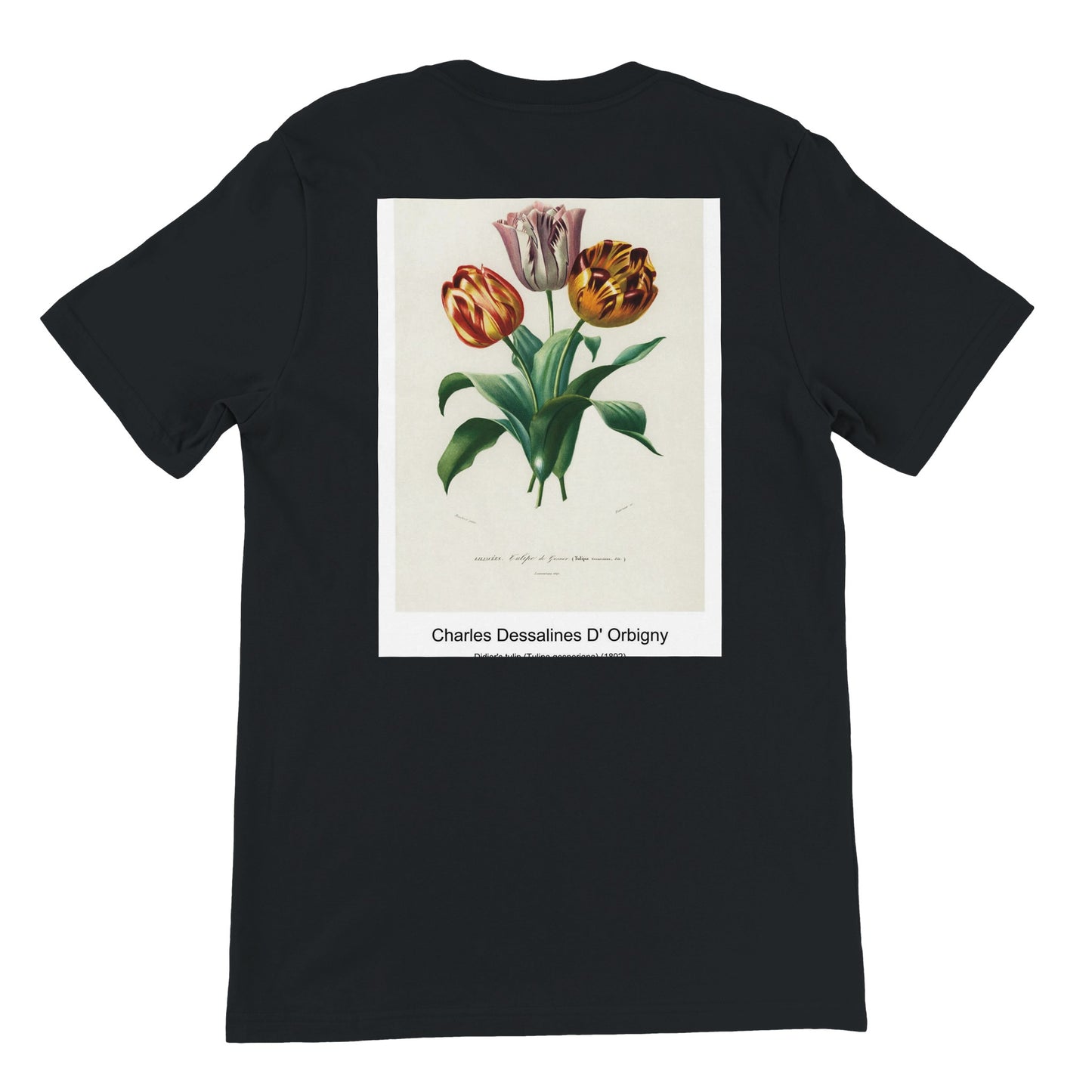 2c69c09c-b2e5-45da-87a7-013b5d9c767f