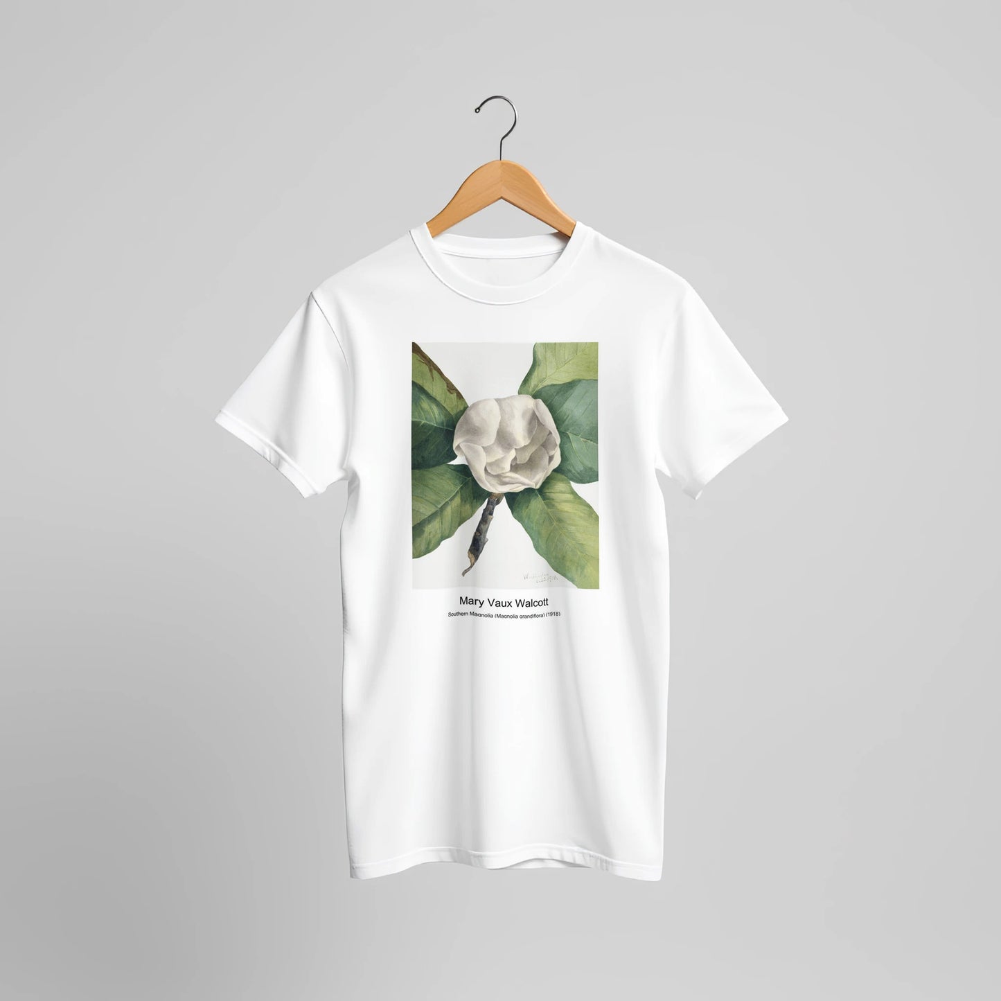 2c72d511-2ec6-44bb-8dd0-e801ba252410