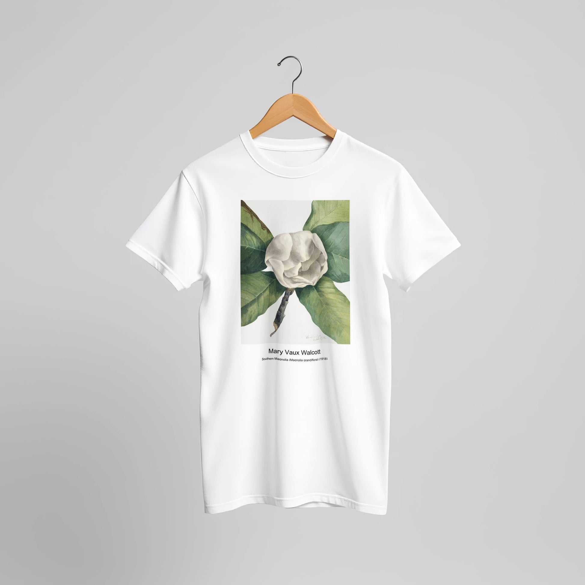 2c72d511-2ec6-44bb-8dd0-e801ba252410