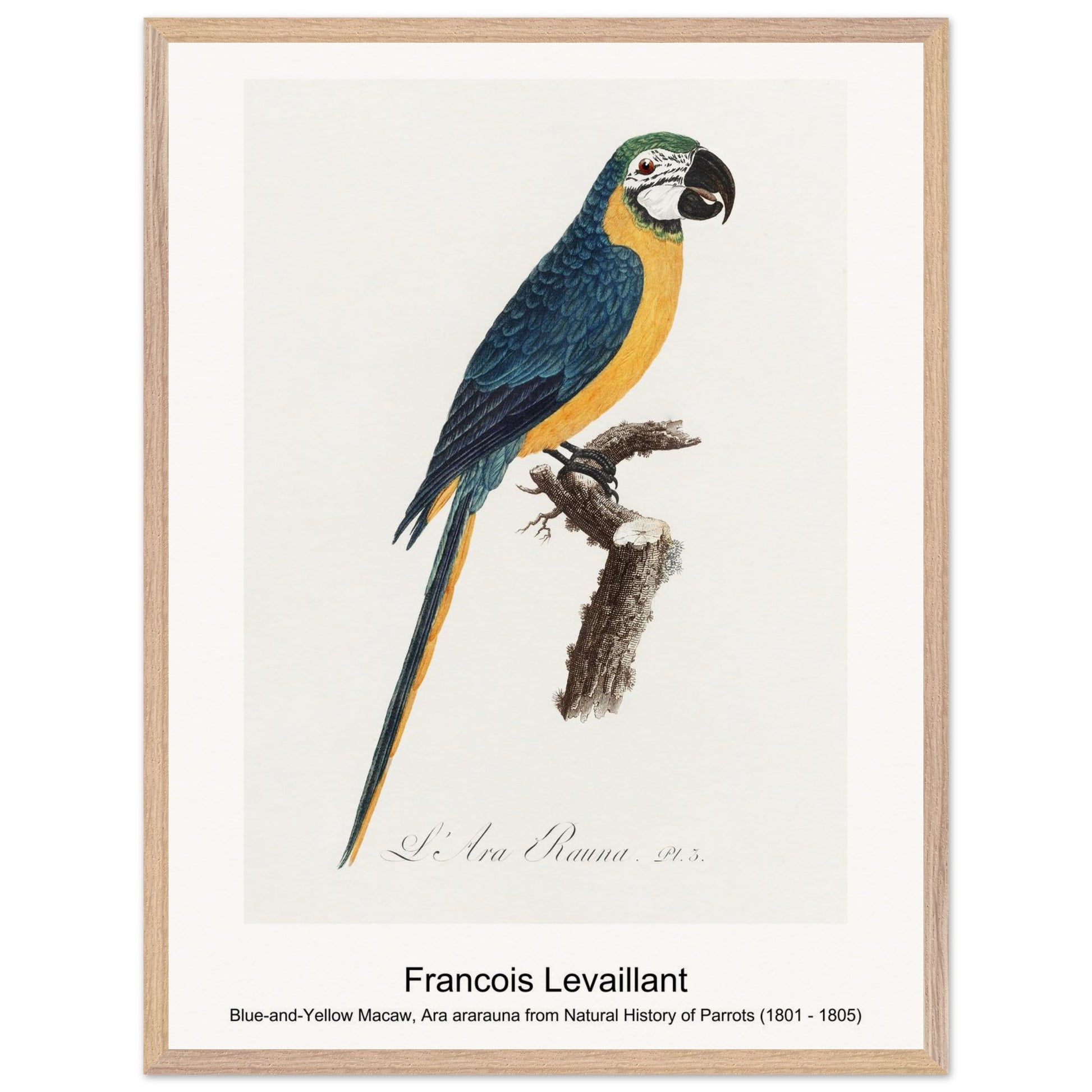 2ca67987-c486-49ba-a0b2-d58fe7fedc98