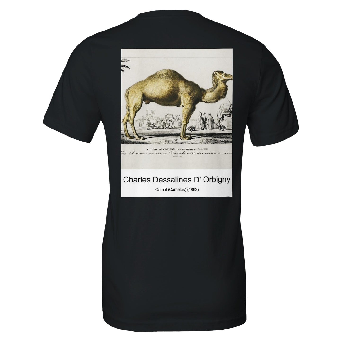 2cc6e1d7-3844-4b2d-b153-080f8103c16f