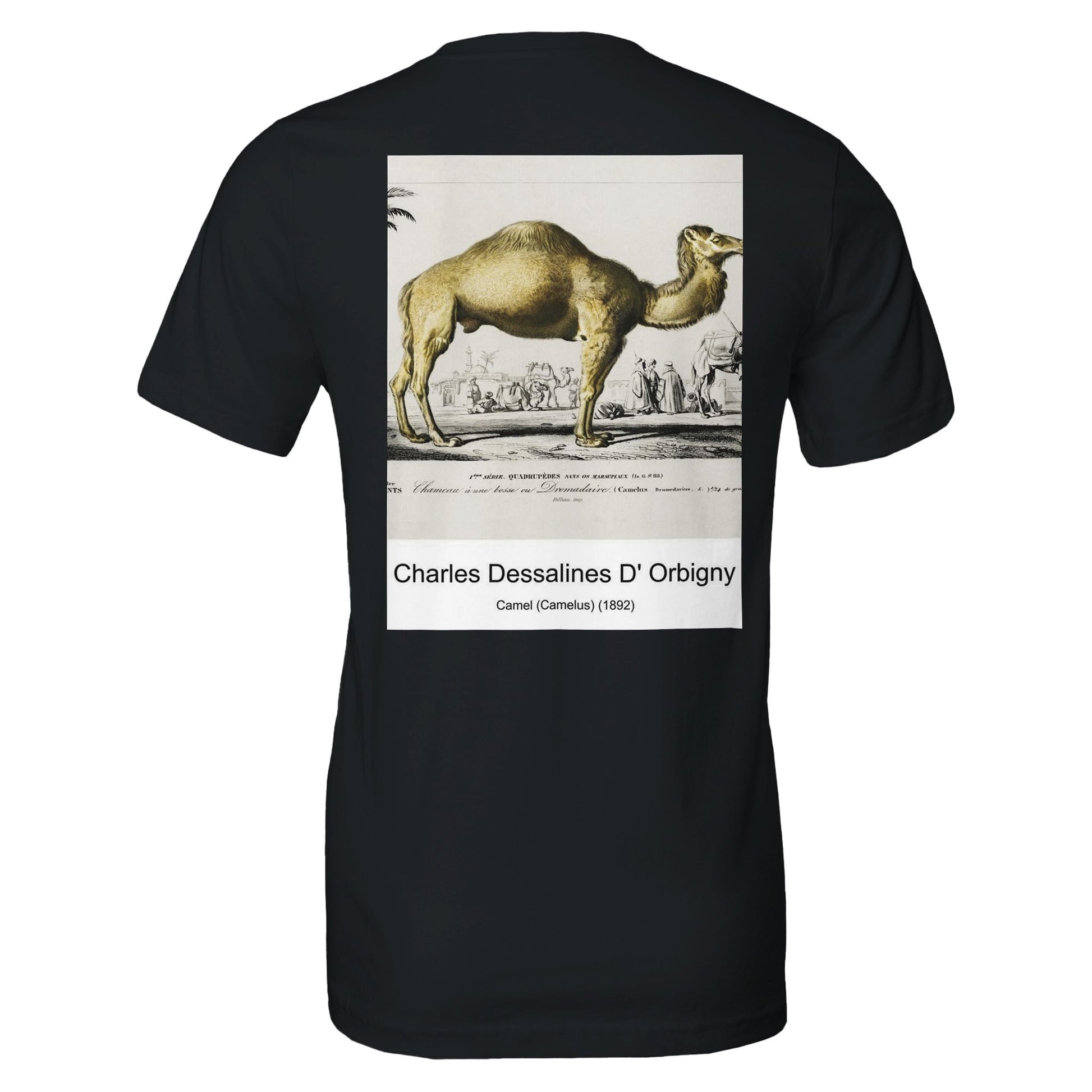 2cc6e1d7-3844-4b2d-b153-080f8103c16f