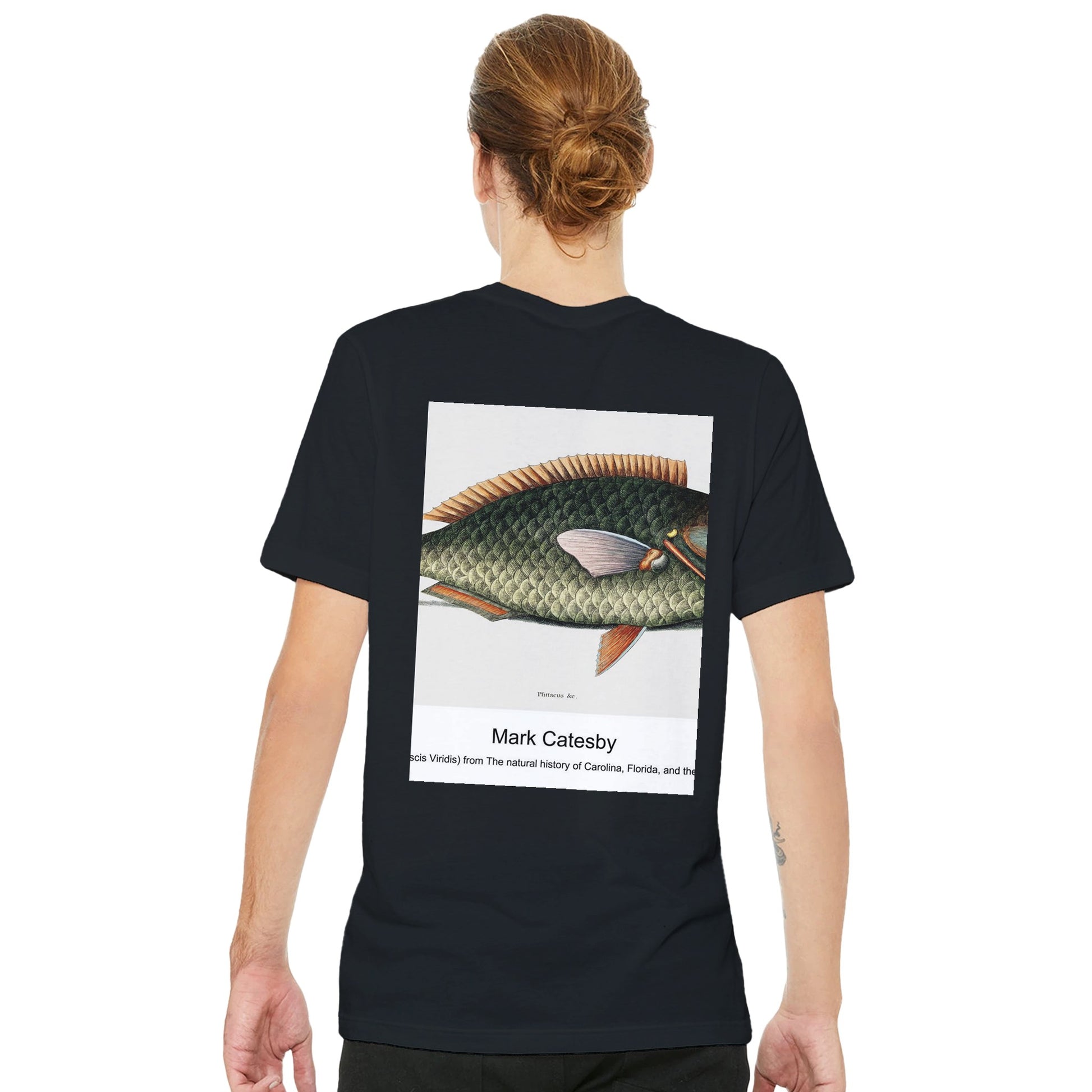 2e8d2fe3-cb57-41d6-8ca2-7d9776b140f5