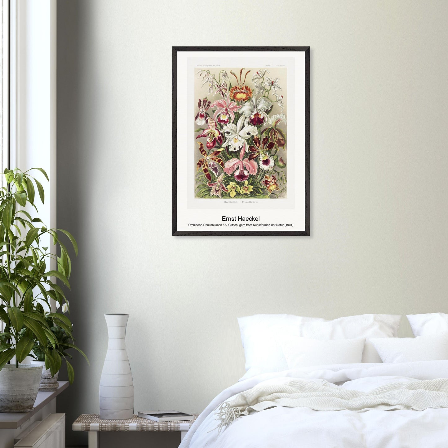 2f5e0f98-6f2d-45ab-a630-641a865c3909