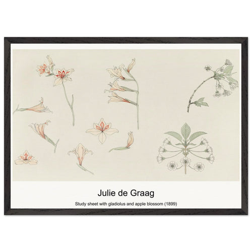 Study sheet with gladiolus and apple blossom (1899) by Julie de Graag. Archival Print on Museum Quality Matte Paper. Premium Wood Framed Wall Art. Optimised Aspect Ratio.