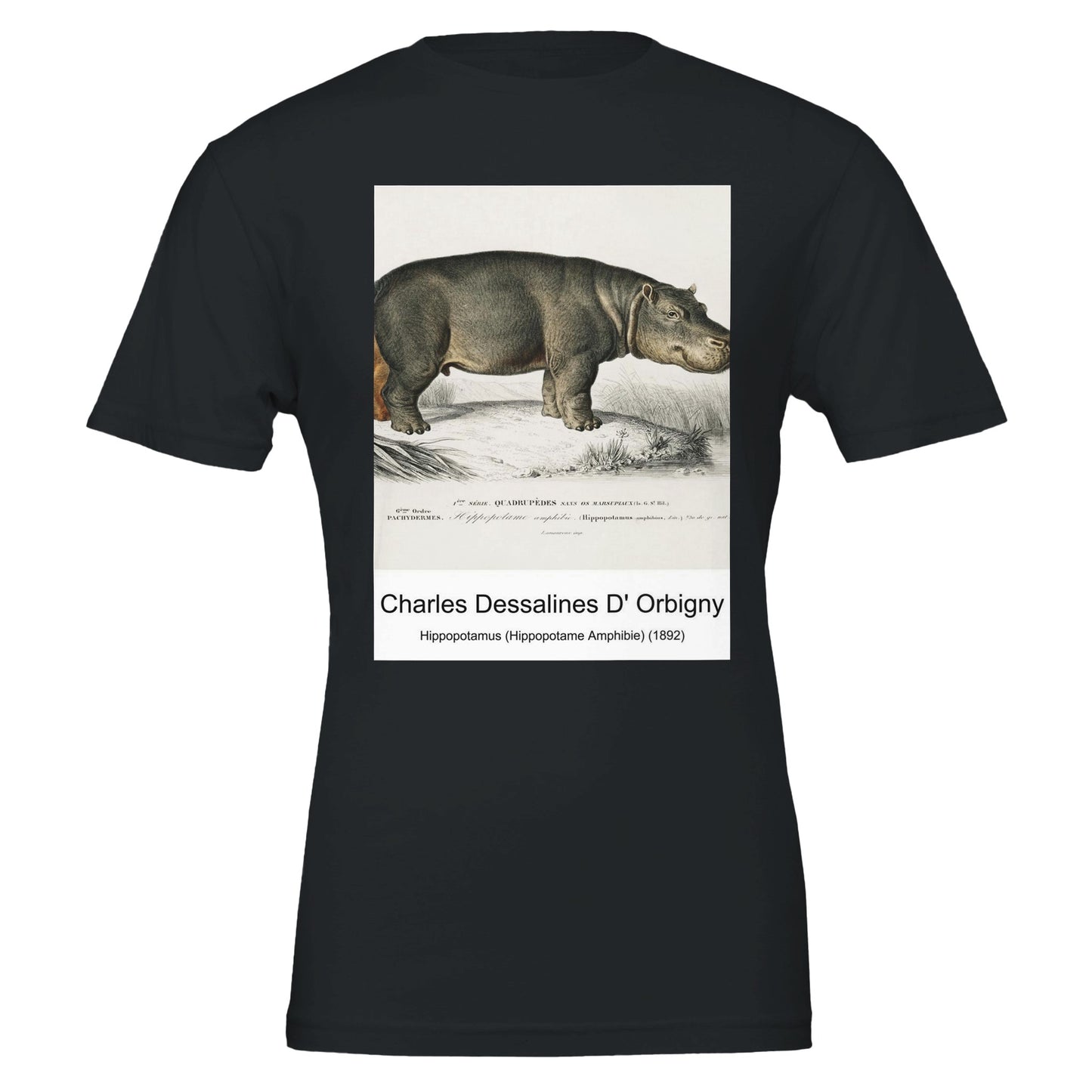 2fdd43b3-cf8c-4698-b27a-389fcbc92621