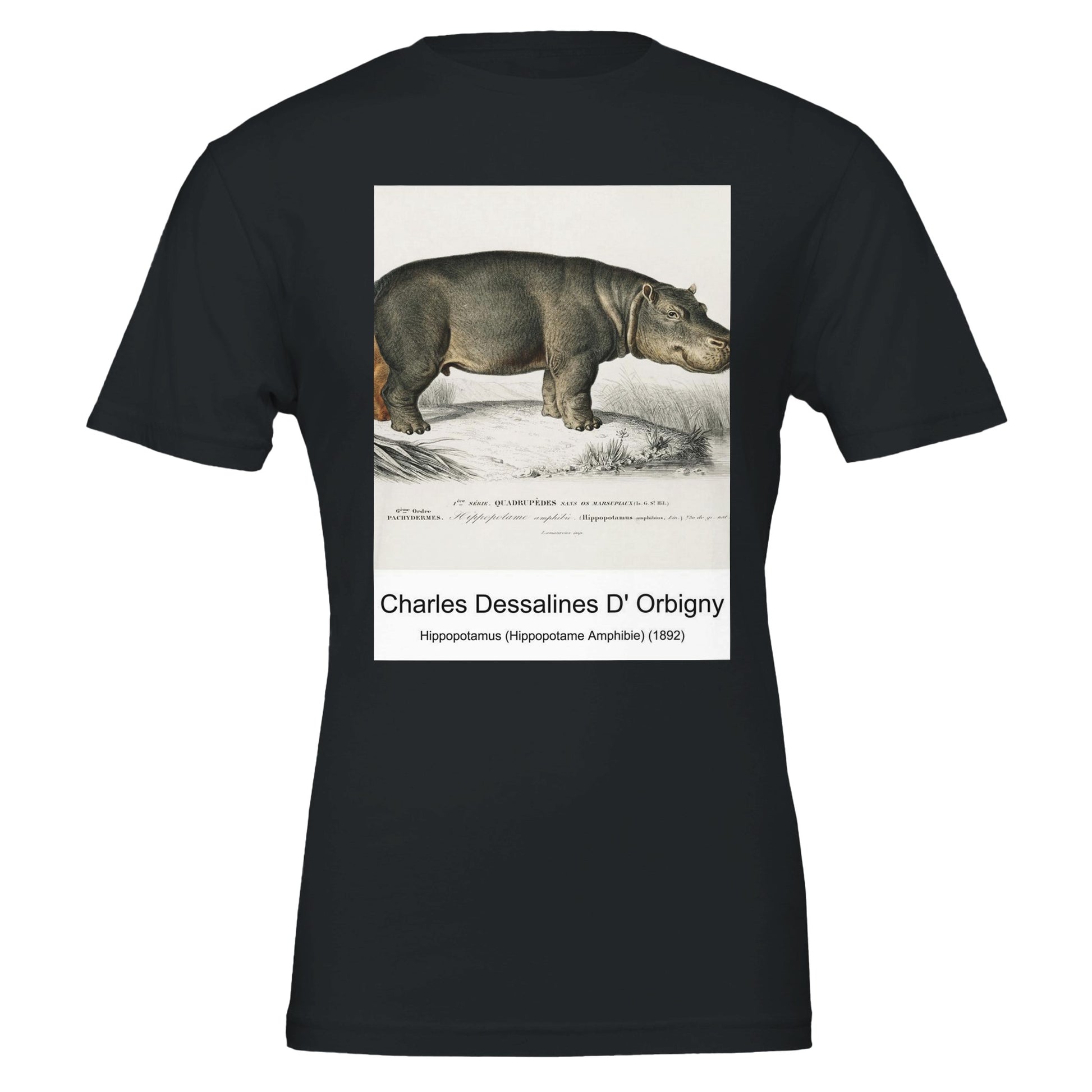 2fdd43b3-cf8c-4698-b27a-389fcbc92621