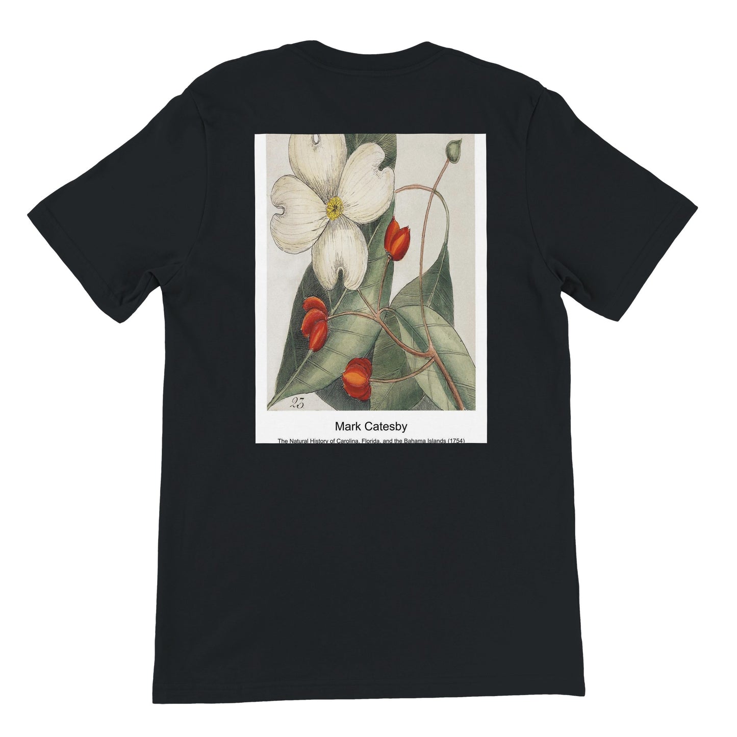 30cf2673-a7ea-44b6-bf50-271af71d3dfd