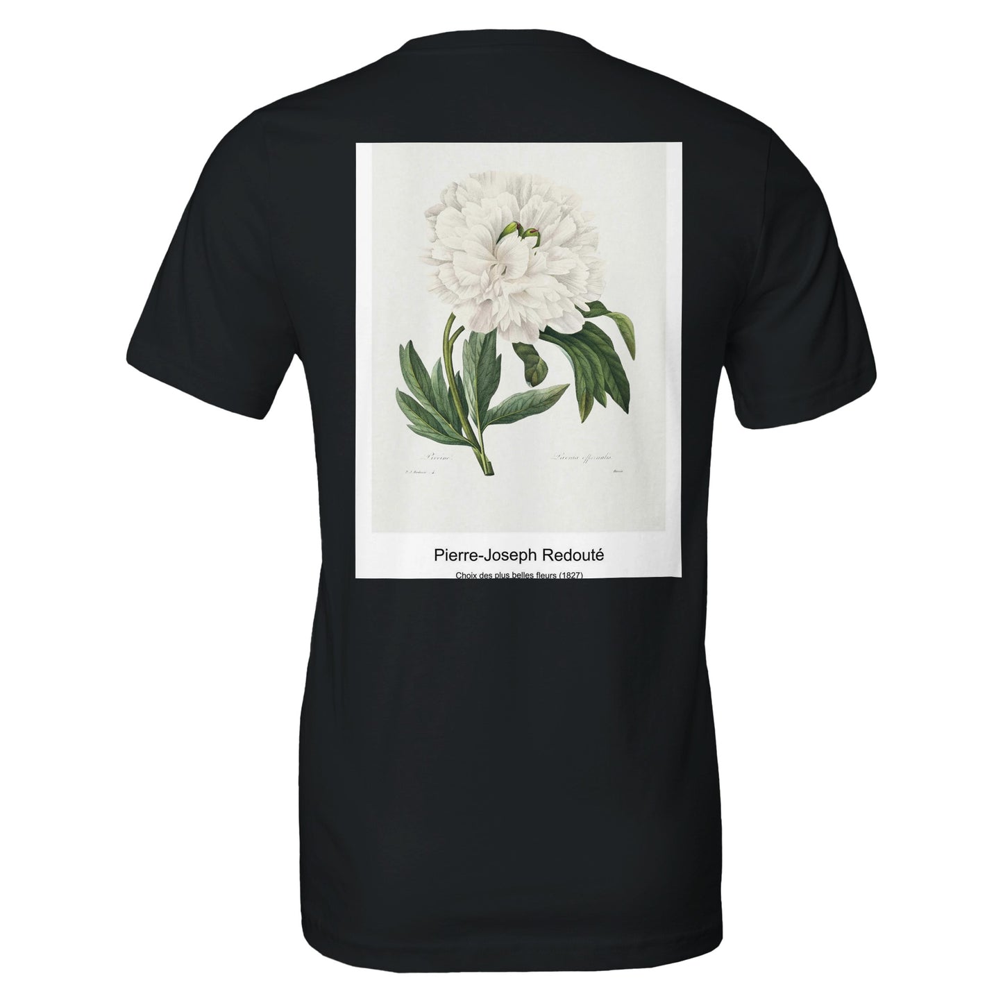 31d1156f-7a38-4d9d-802b-4ea496c5e411