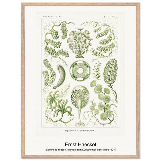 324f2312-cb30-4df8-9422-375b70d0c1e6