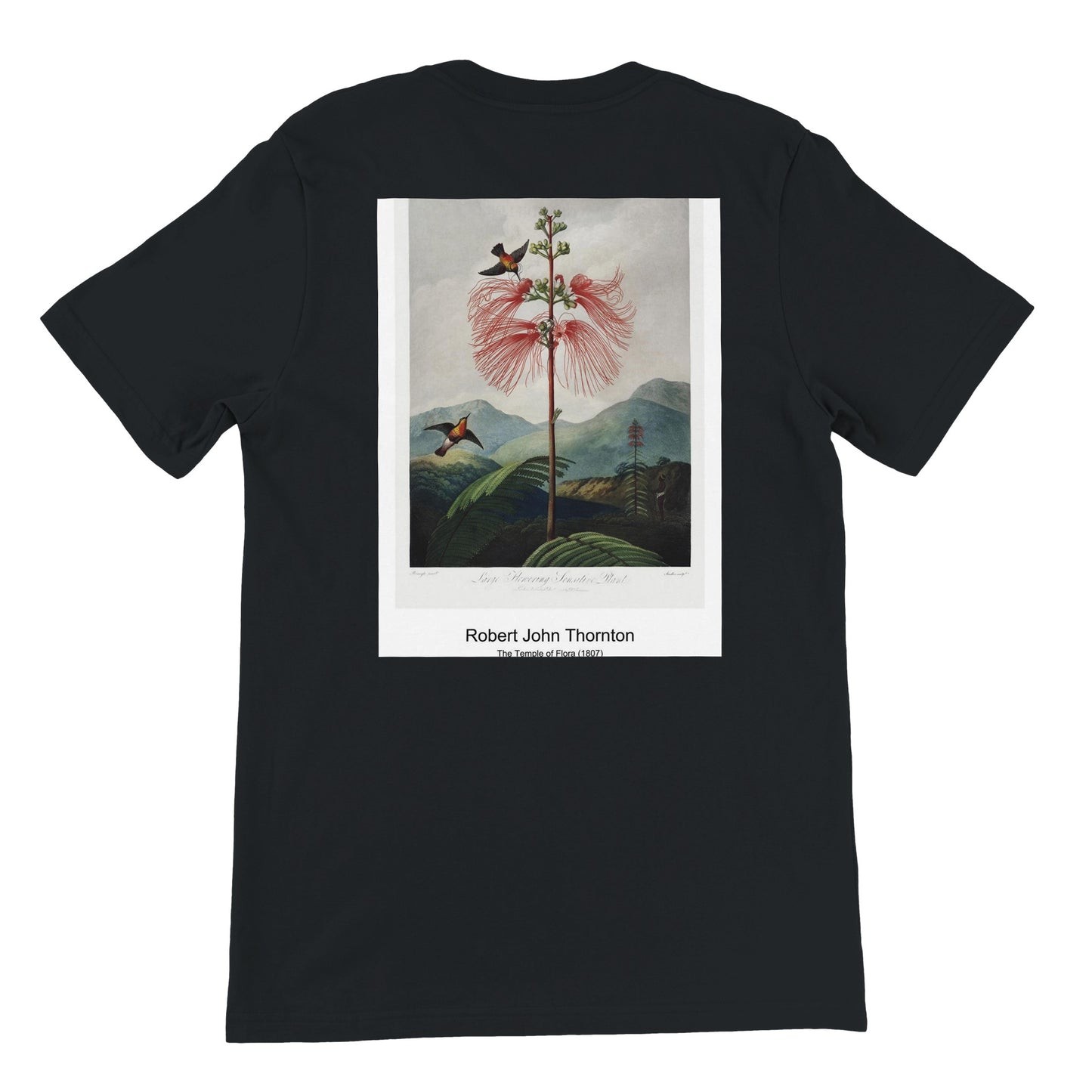 32ca0004-f660-4c21-8d02-c642af5cafcf