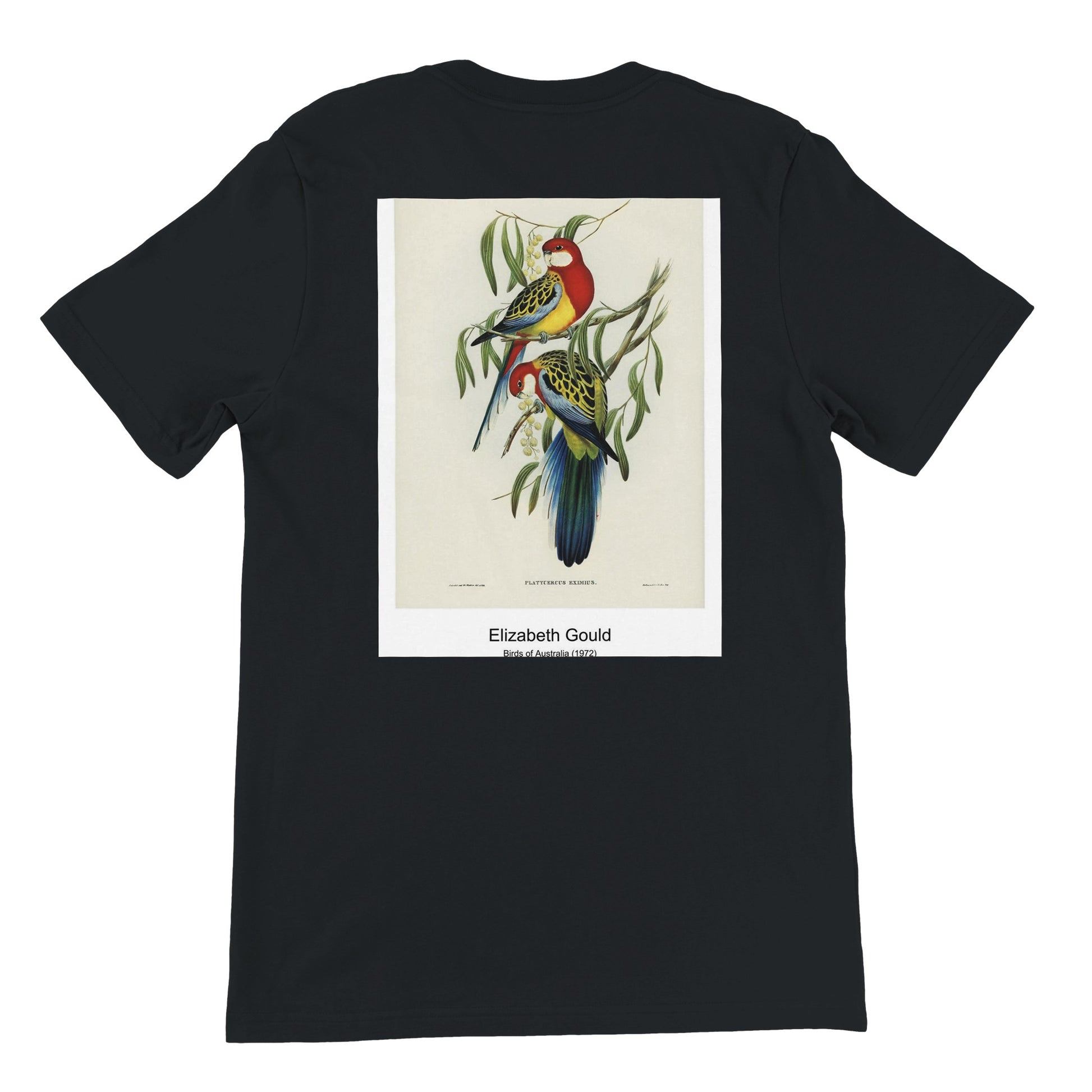 330a5e7e-0882-470c-8e4b-fd530e357531