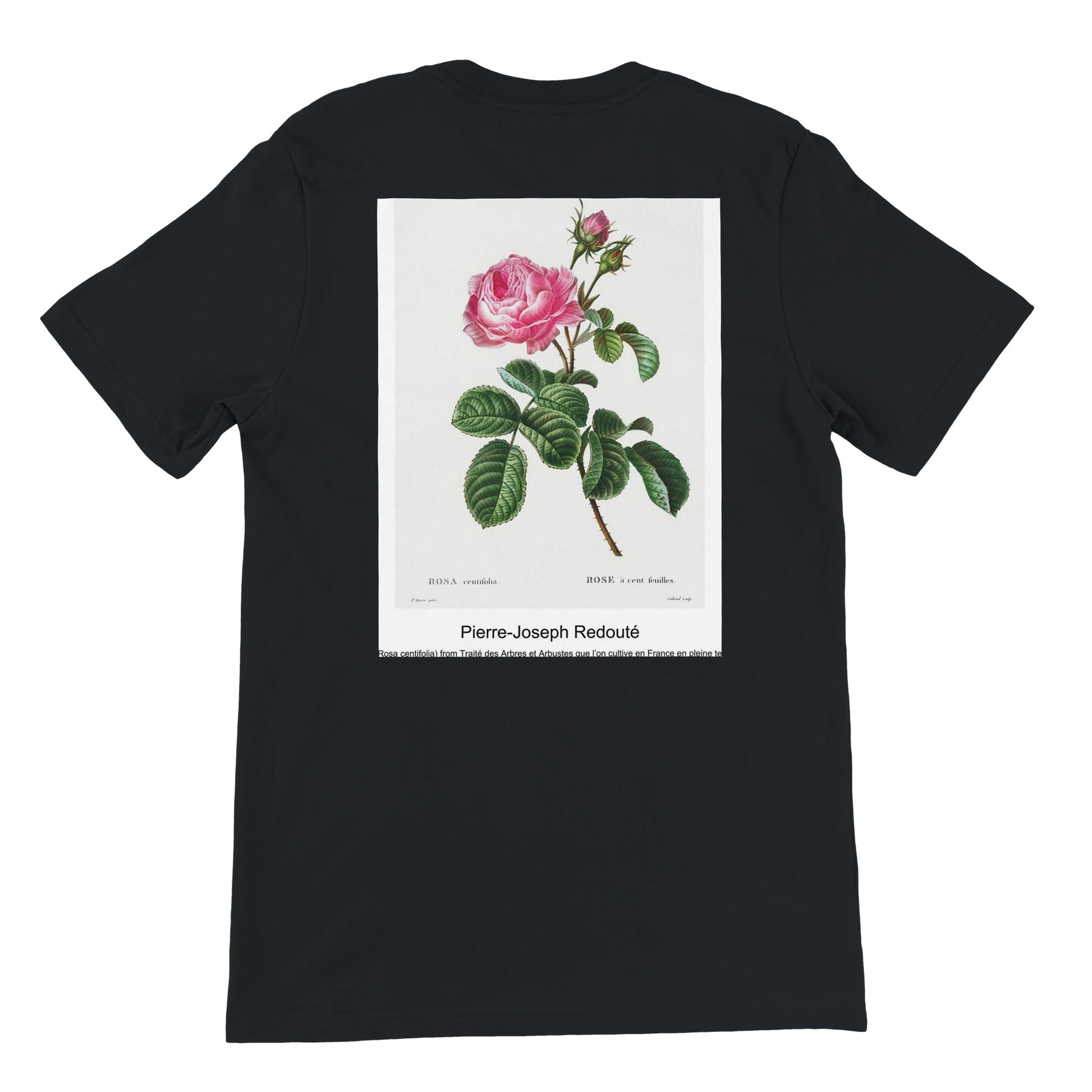 335a8805-c16c-412b-a9c0-c437fe80e4bf