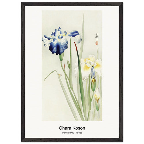 Kingfisher in the snow (1925 - 1936) by Ohara Koson. Archival Print on Museum Quality Matte Paper. Premium Wood Framed Wall Art. Original Aspect Ratio