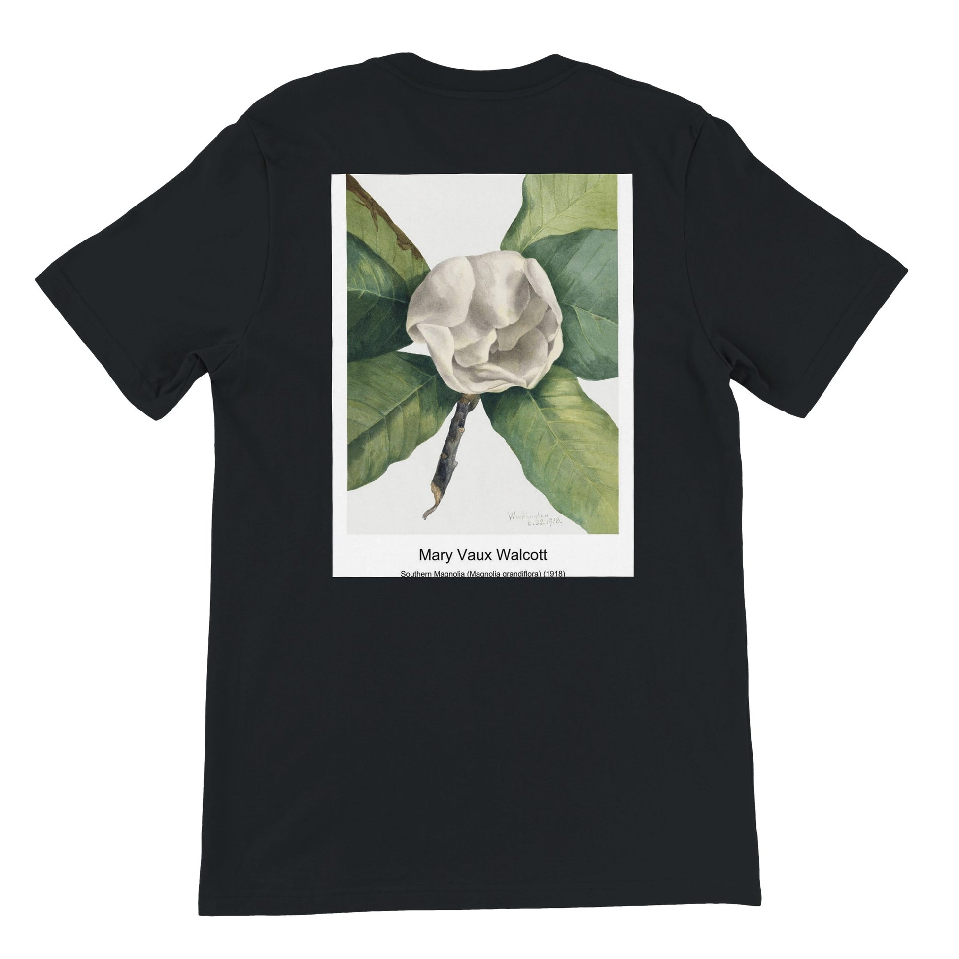 33f433f2-c4cd-44de-9549-892846ef4953