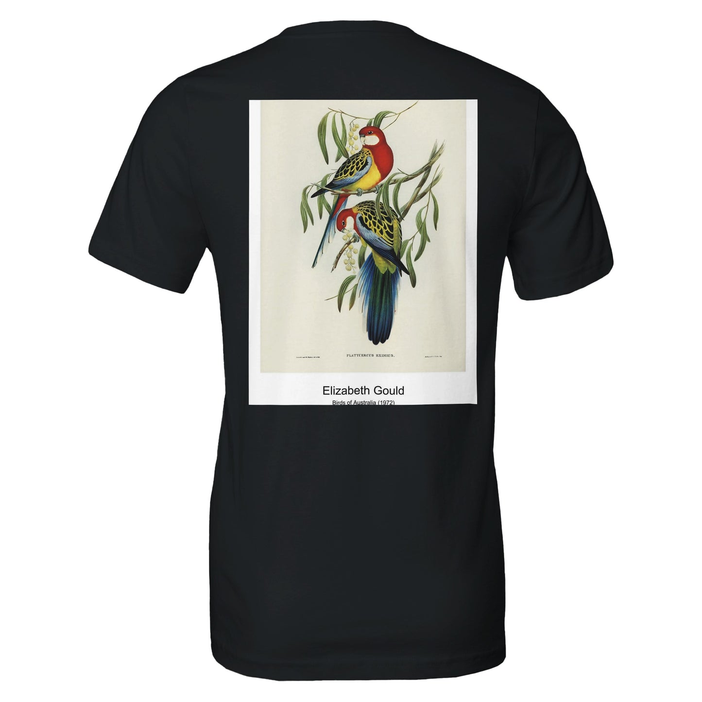 34c0e915-3fca-4b92-b6aa-8cac33d058ac