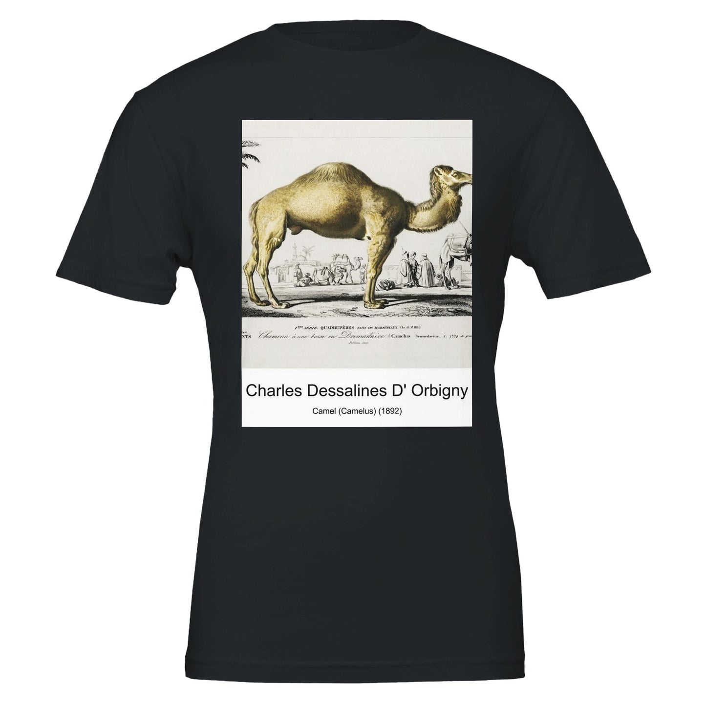 3503f9af-e634-43a5-a231-68b574932228