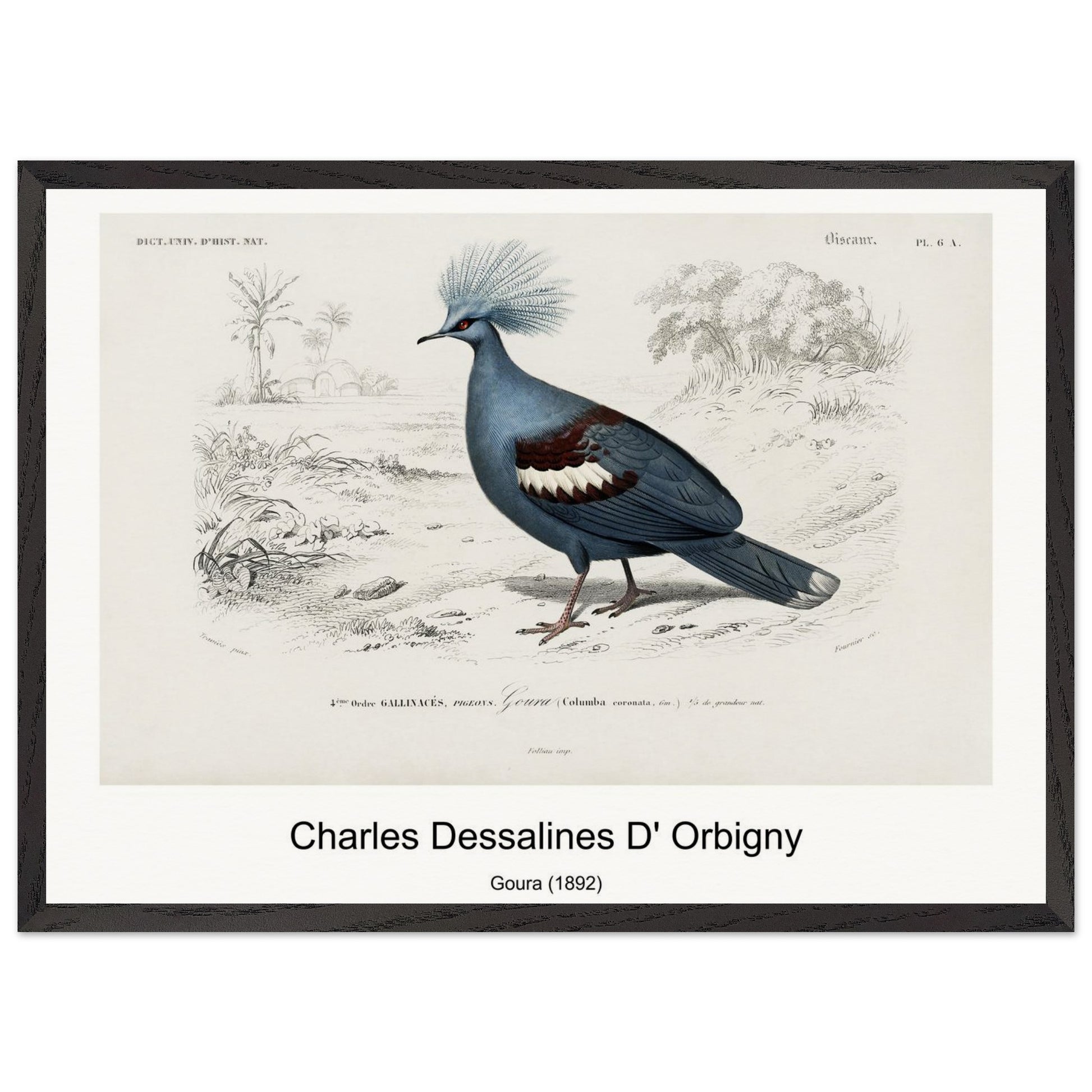 36ab7f8c-cb61-4c90-ad38-ce8caa612efb