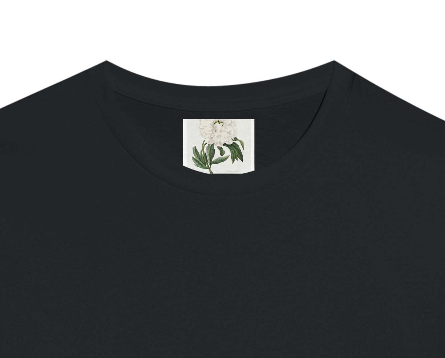 36b0d446-5504-4a28-a1b2-a07b1aef3e1f