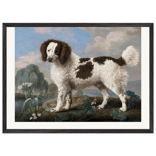 Brown and White Norfolk or Water Spaniel (1778) by George Stubbs. Archival Print on Museum Quality Matte Paper. Premium Wood Framed Wall Art. Original Aspect Ratio