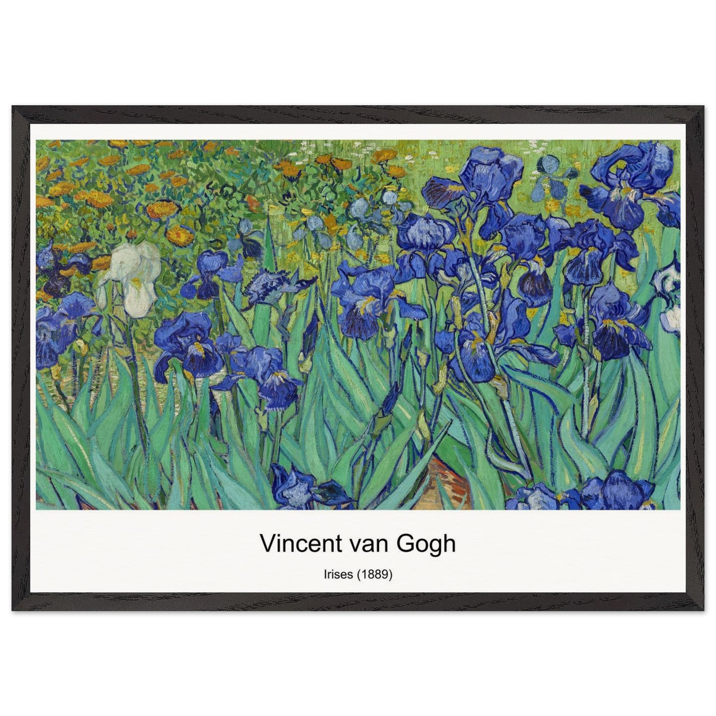 36fd3530-50ce-4d6a-8089-ef920ff3df61