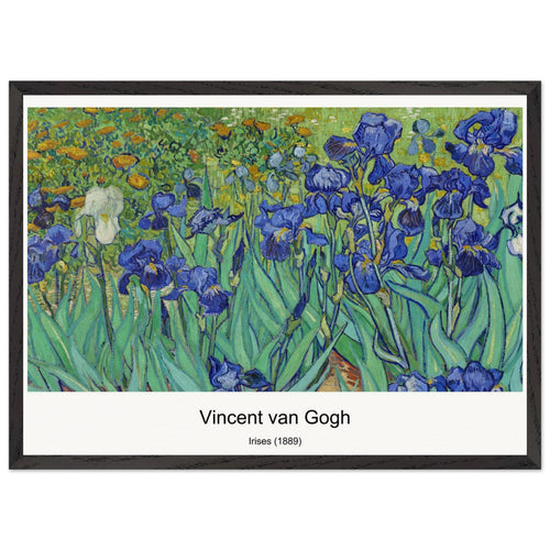 Flower Beds in Holland (c. 1883) by Vincent van Gogh. Archival Print on Museum Quality Matte Paper. Premium Wood Framed Wall Art. Optimised Aspect Ratio.