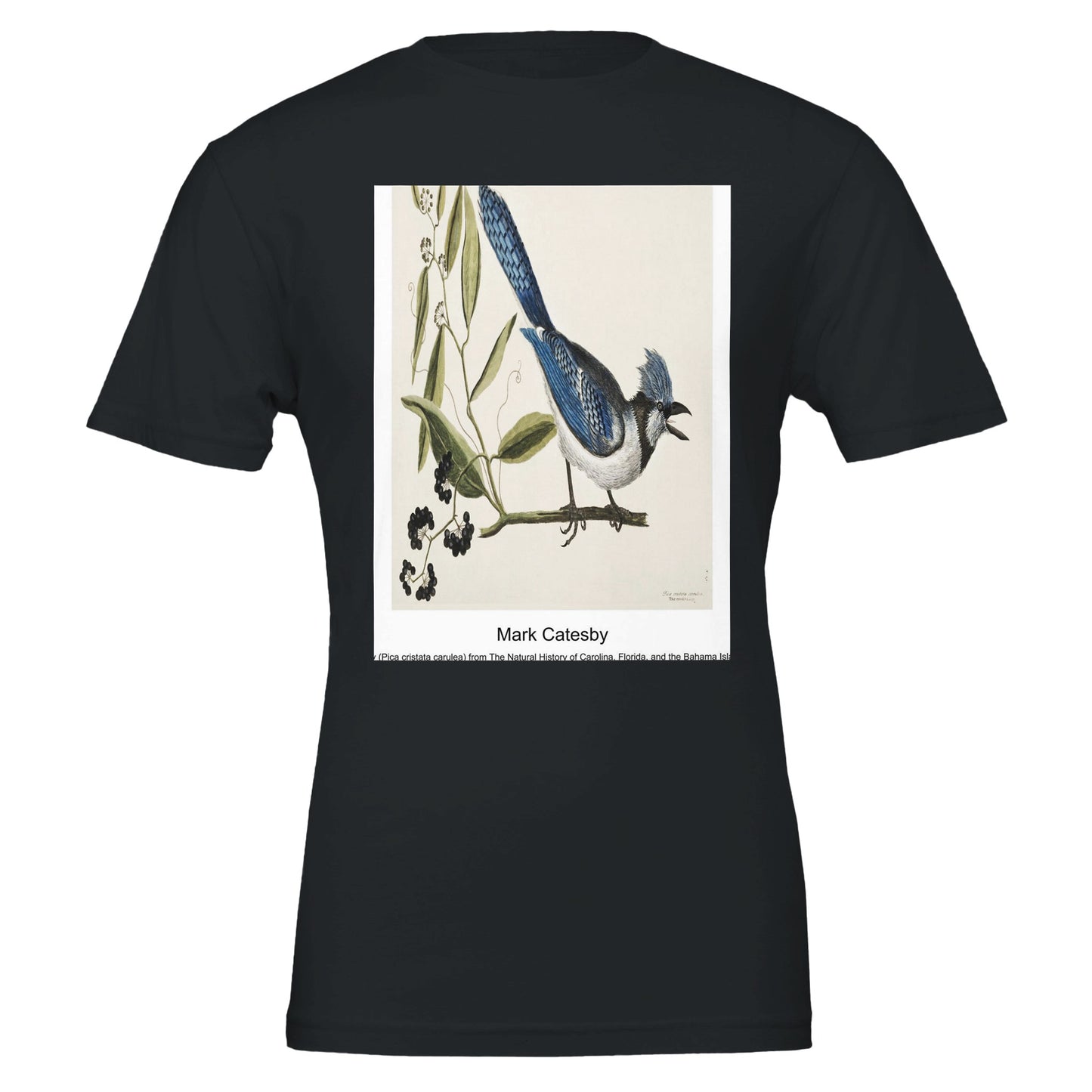 371f1601-422e-4f0b-ba18-71728bfd7014