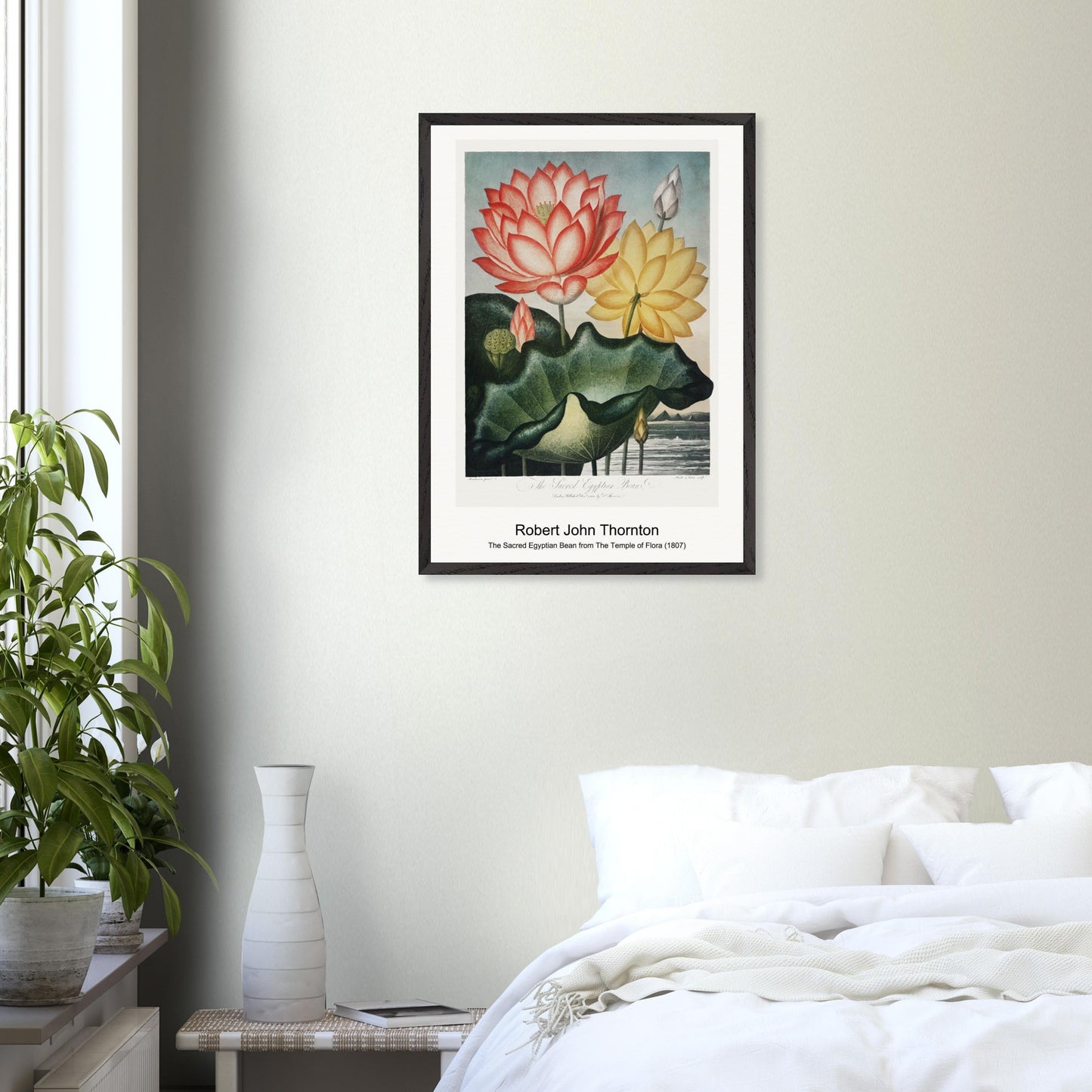 37eb08a6-0948-4721-9ac7-633001c2f634