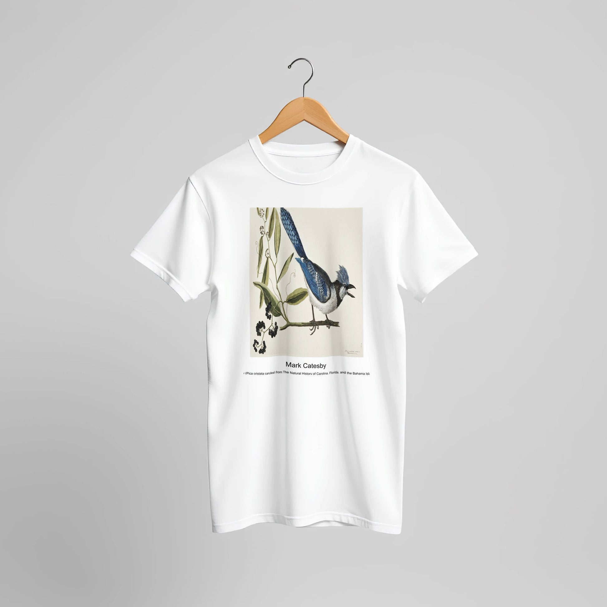 381076e3-60f1-46f6-8157-ac86df1b577e