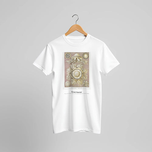 Discomedusae-Schweibenquallen from Kunstformen der Natur (1904) by Ernst Haeckel. Custom Print on a 100% Airlume Combed and Ring-Spun Cotton Unisex Crewneck T-shirt Original Aspect Ratio
